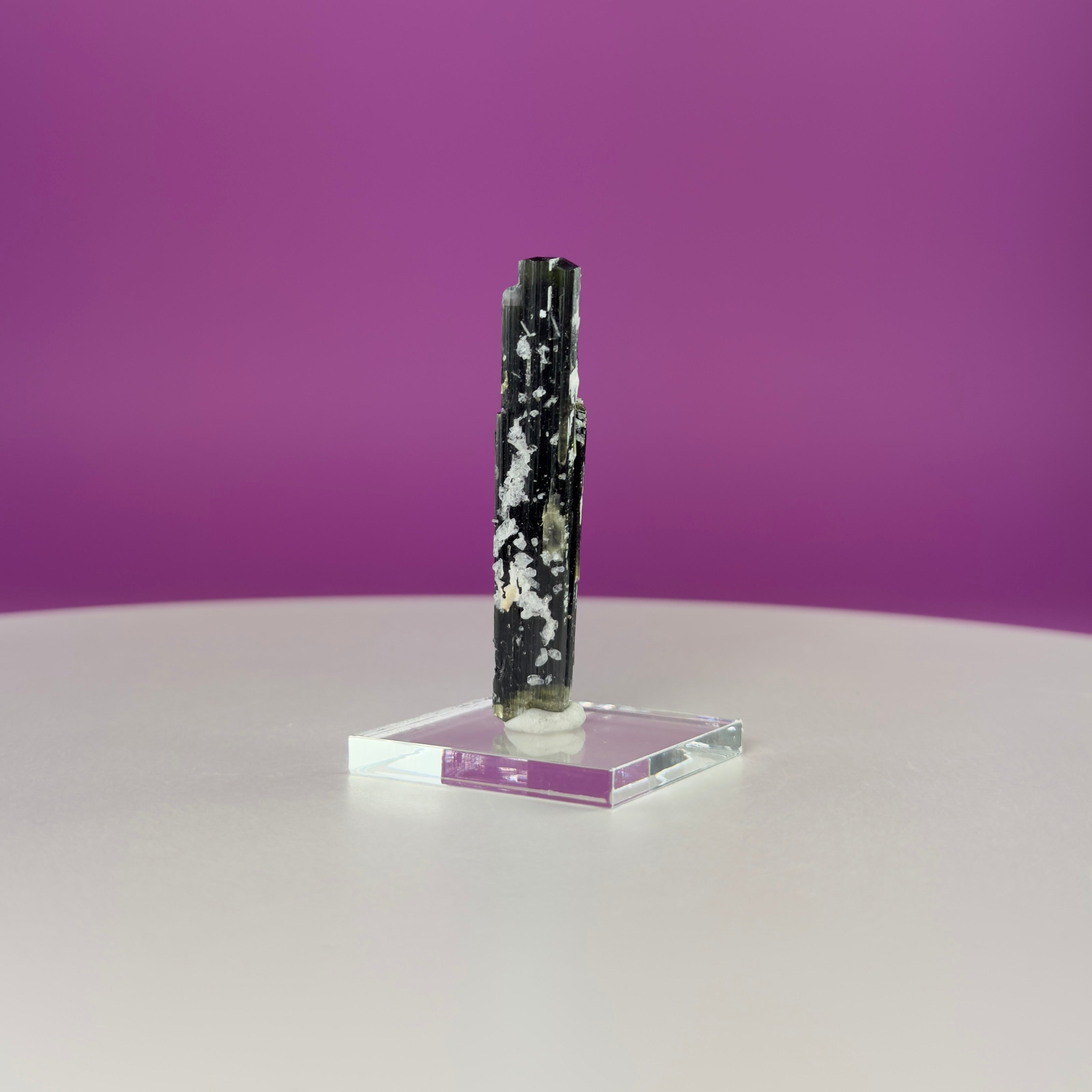 Stak Nala Tourmaline in Matrix Specimen – Pakistan Collector Crystal with Display Base