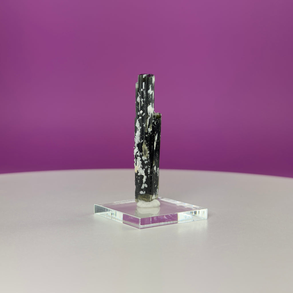 Stak Nala Tourmaline in Matrix Specimen – Pakistan Collector Crystal with Display Base