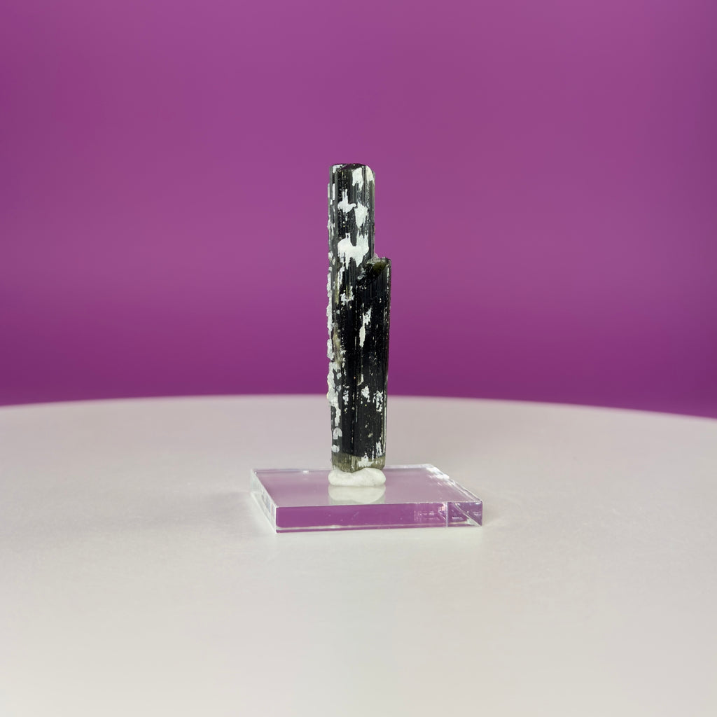Stak Nala Tourmaline in Matrix Specimen – Pakistan Collector Crystal with Display Base
