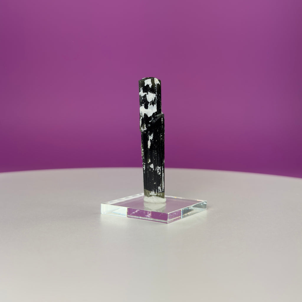 Stak Nala Tourmaline in Matrix Specimen – Pakistan Collector Crystal with Display Base