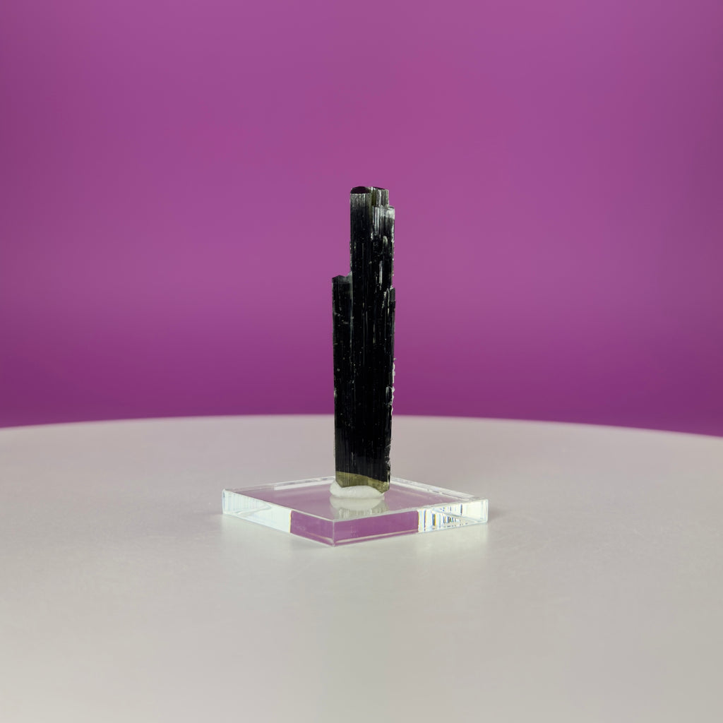 Stak Nala Tourmaline in Matrix Specimen – Pakistan Collector Crystal with Display Base