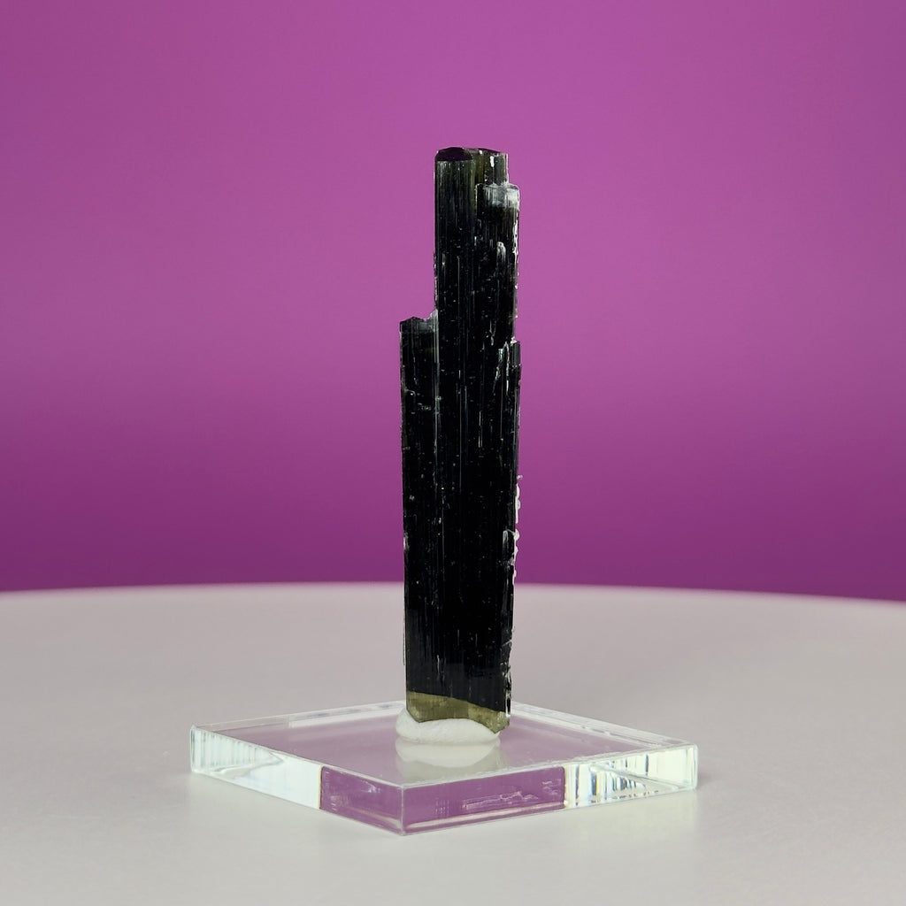 Stak Nala Tourmaline in Matrix Specimen – Pakistan Collector Crystal with Display Base