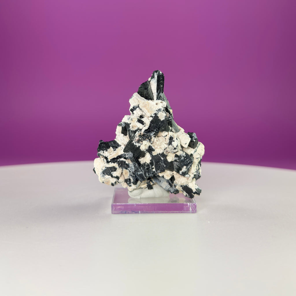 Dravite Tourmaline Crystal Specimen in Matrix – Collector Mineral Display