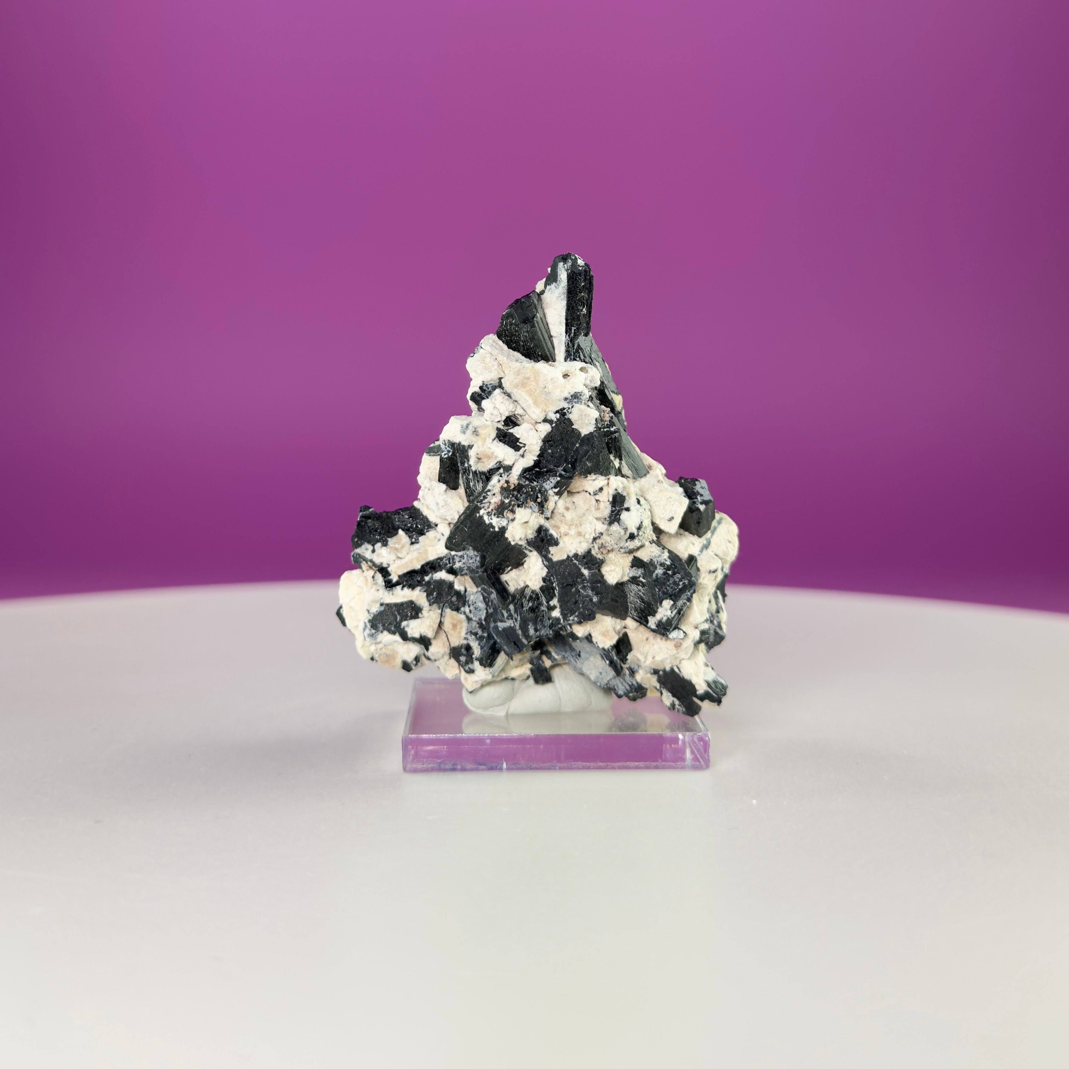 Dravite Tourmaline Crystal Specimen in Matrix – Collector Mineral Display