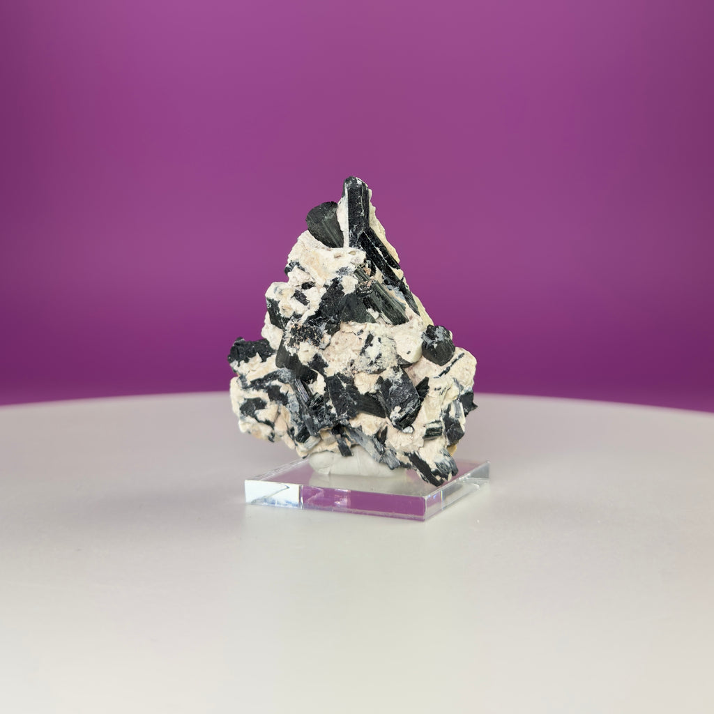 Dravite Tourmaline Crystal Specimen in Matrix – Collector Mineral Display