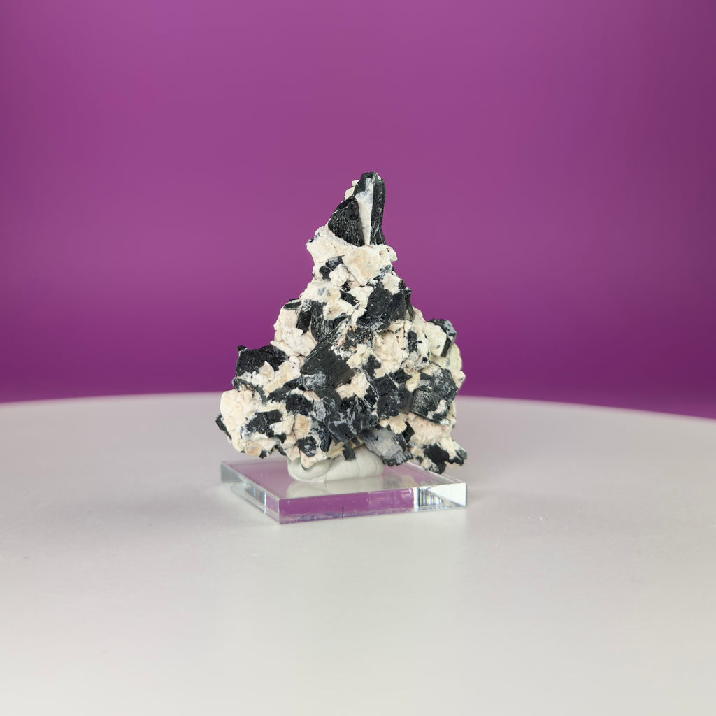 Dravite Tourmaline Crystal Specimen in Matrix – Collector Mineral Display