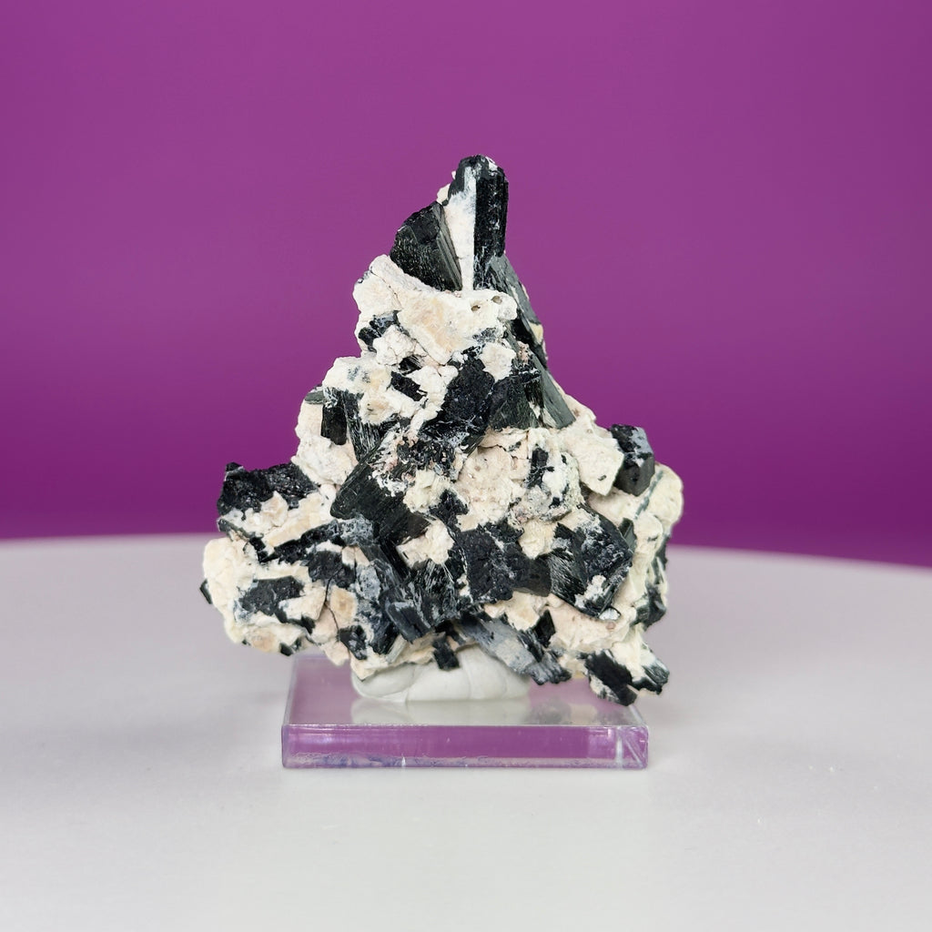 Dravite Tourmaline Crystal Specimen in Matrix – Collector Mineral Display