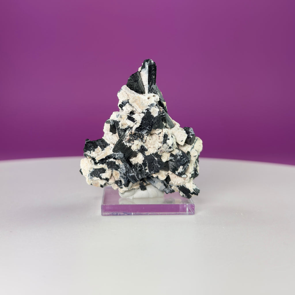 Dravite Tourmaline Crystal Specimen in Matrix – Collector Mineral Display