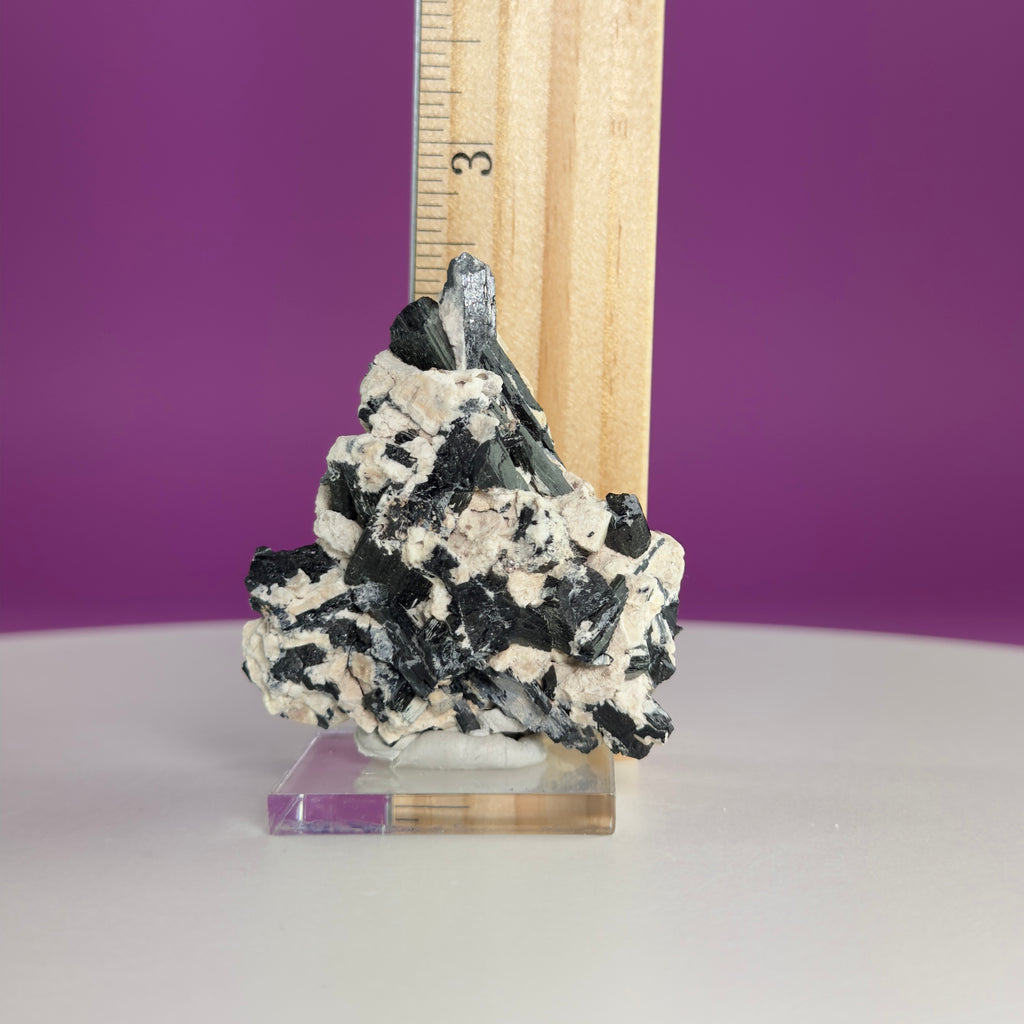 Dravite Tourmaline Crystal Specimen in Matrix – Collector Mineral Display