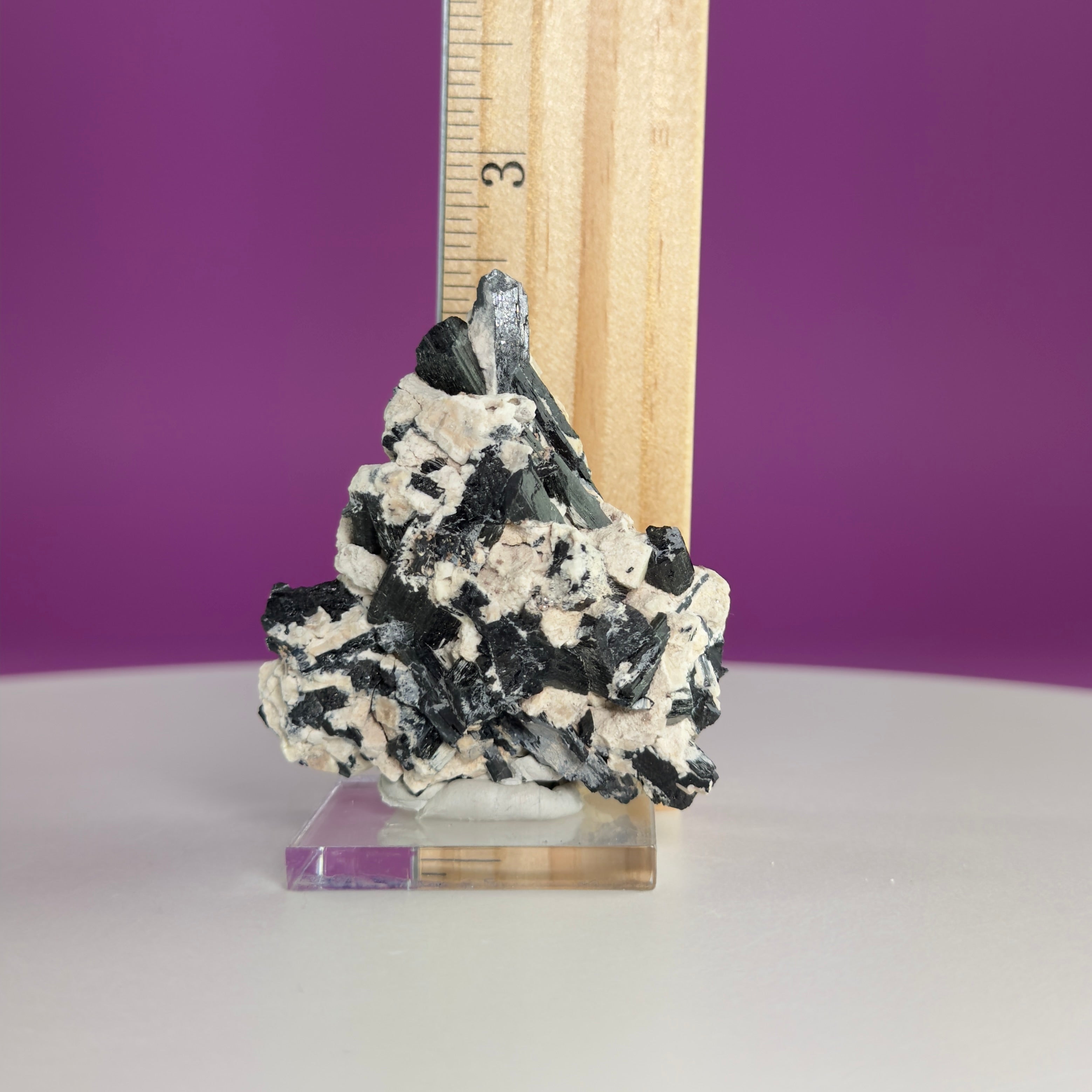 Dravite Tourmaline Crystal Specimen in Matrix – Collector Mineral Display