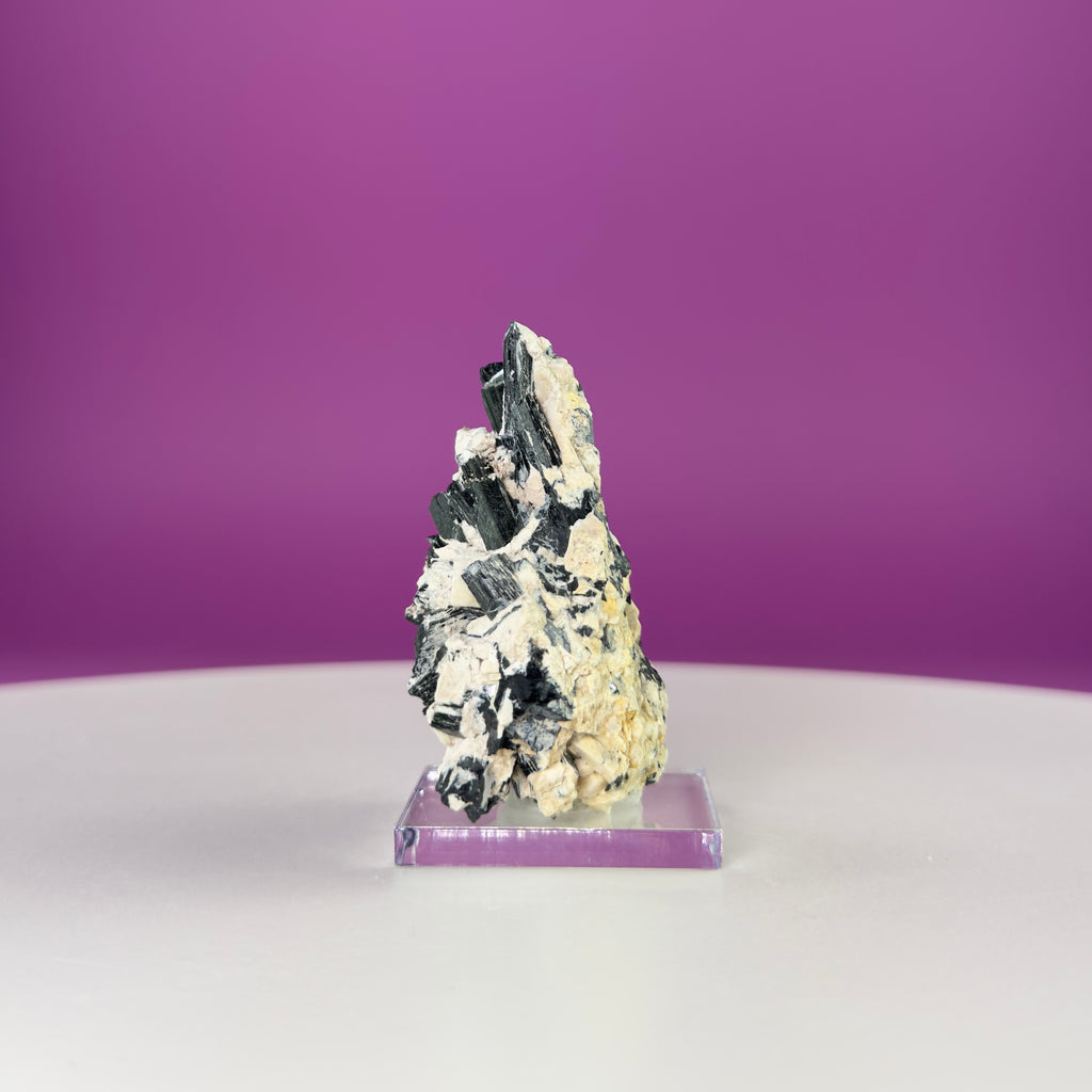 Dravite Tourmaline Crystal Specimen in Matrix – Collector Mineral Display