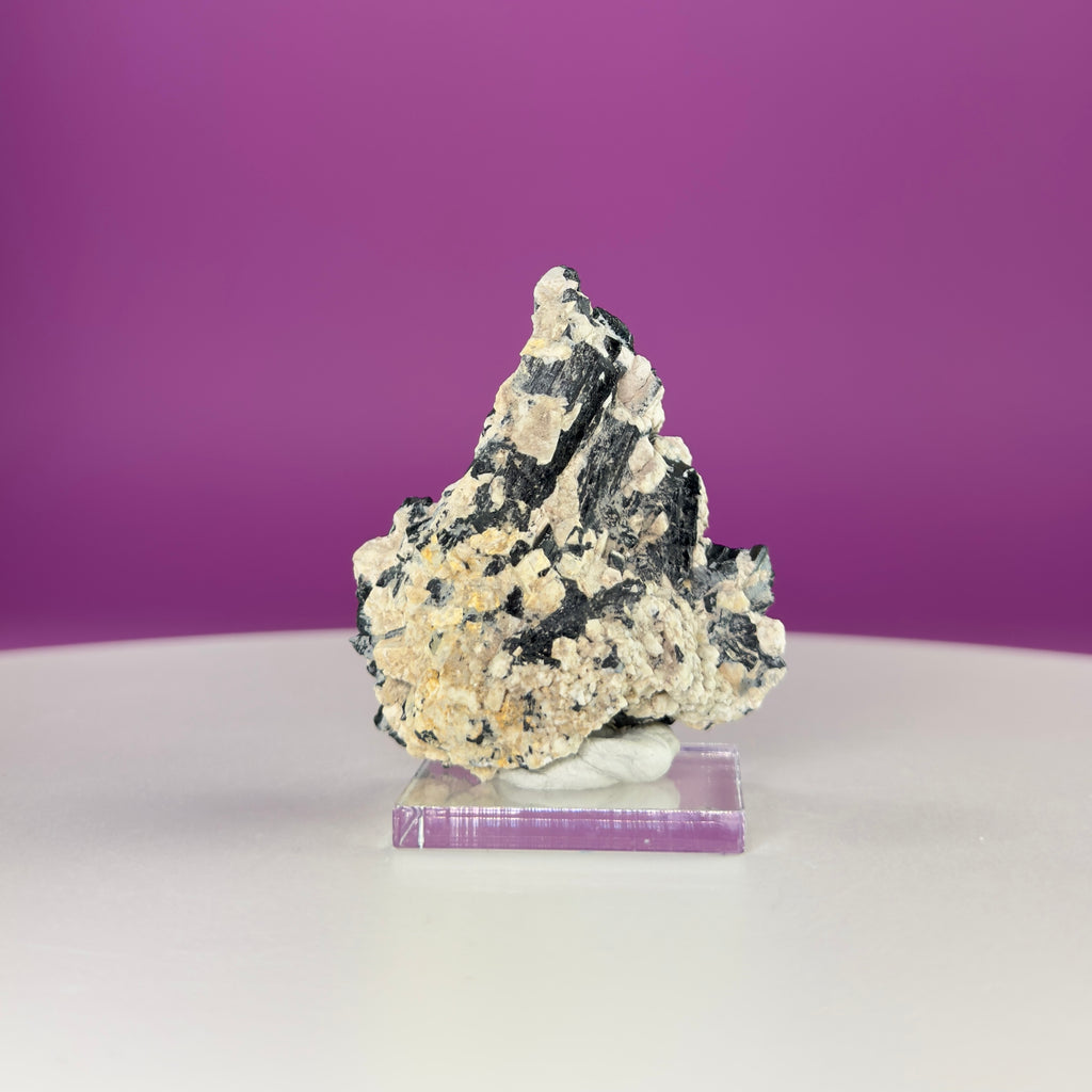 Dravite Tourmaline Crystal Specimen in Matrix – Collector Mineral Display