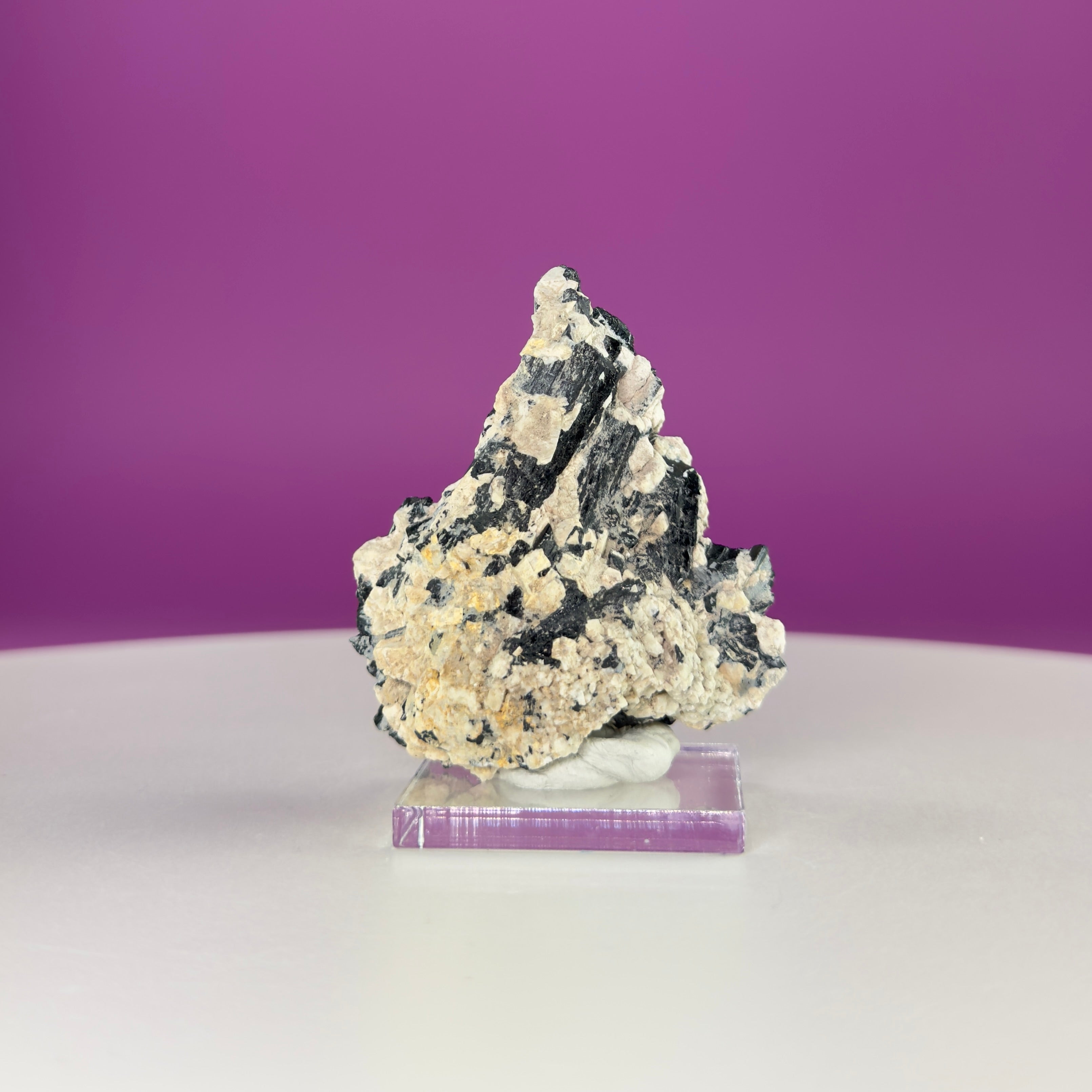 Dravite Tourmaline Crystal Specimen in Matrix – Collector Mineral Display