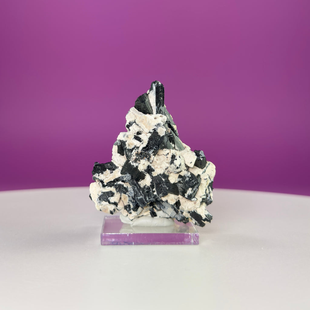 Dravite Tourmaline Crystal Specimen in Matrix – Collector Mineral Display