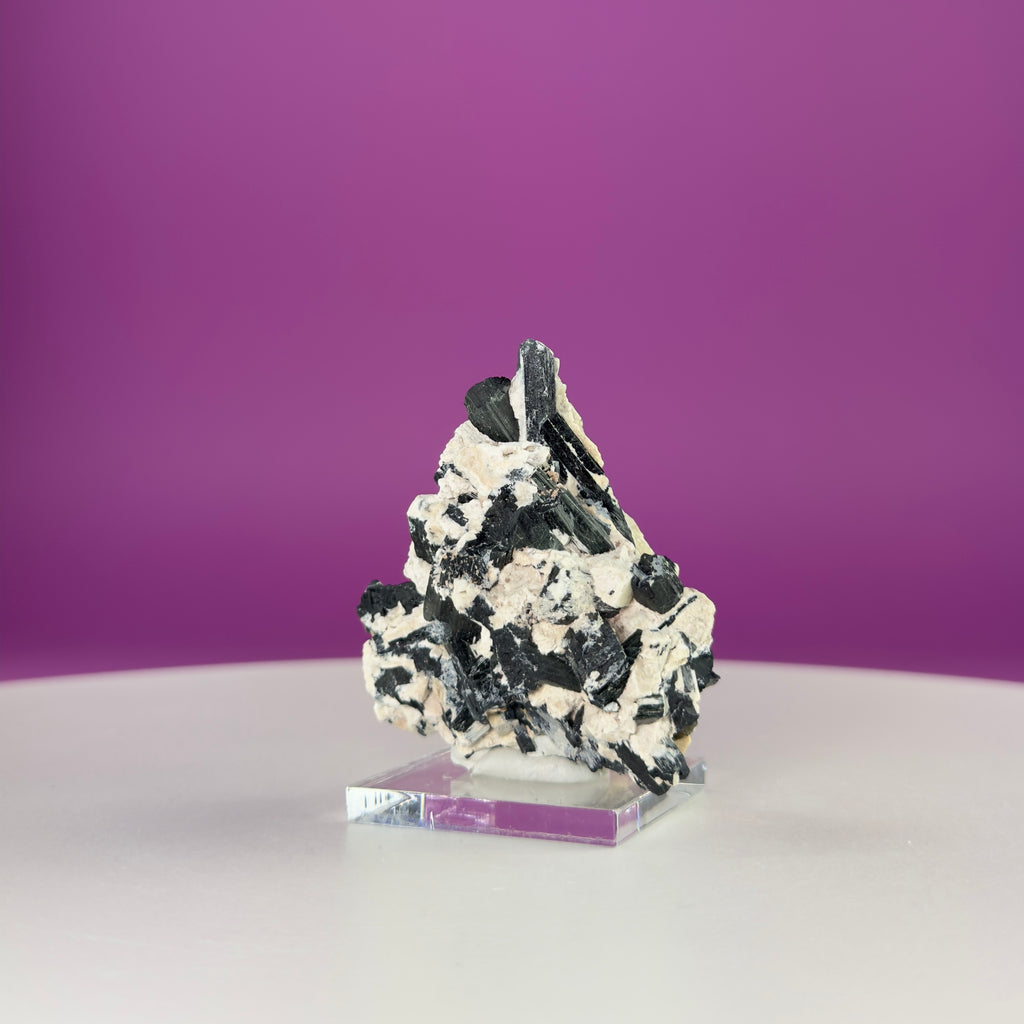 Dravite Tourmaline Crystal Specimen in Matrix – Collector Mineral Display