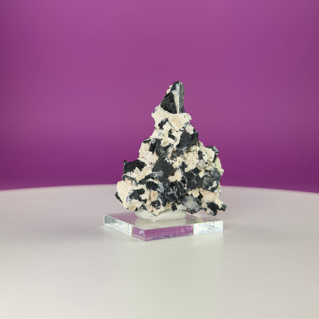 Dravite Tourmaline Crystal Specimen in Matrix – Collector Mineral Display