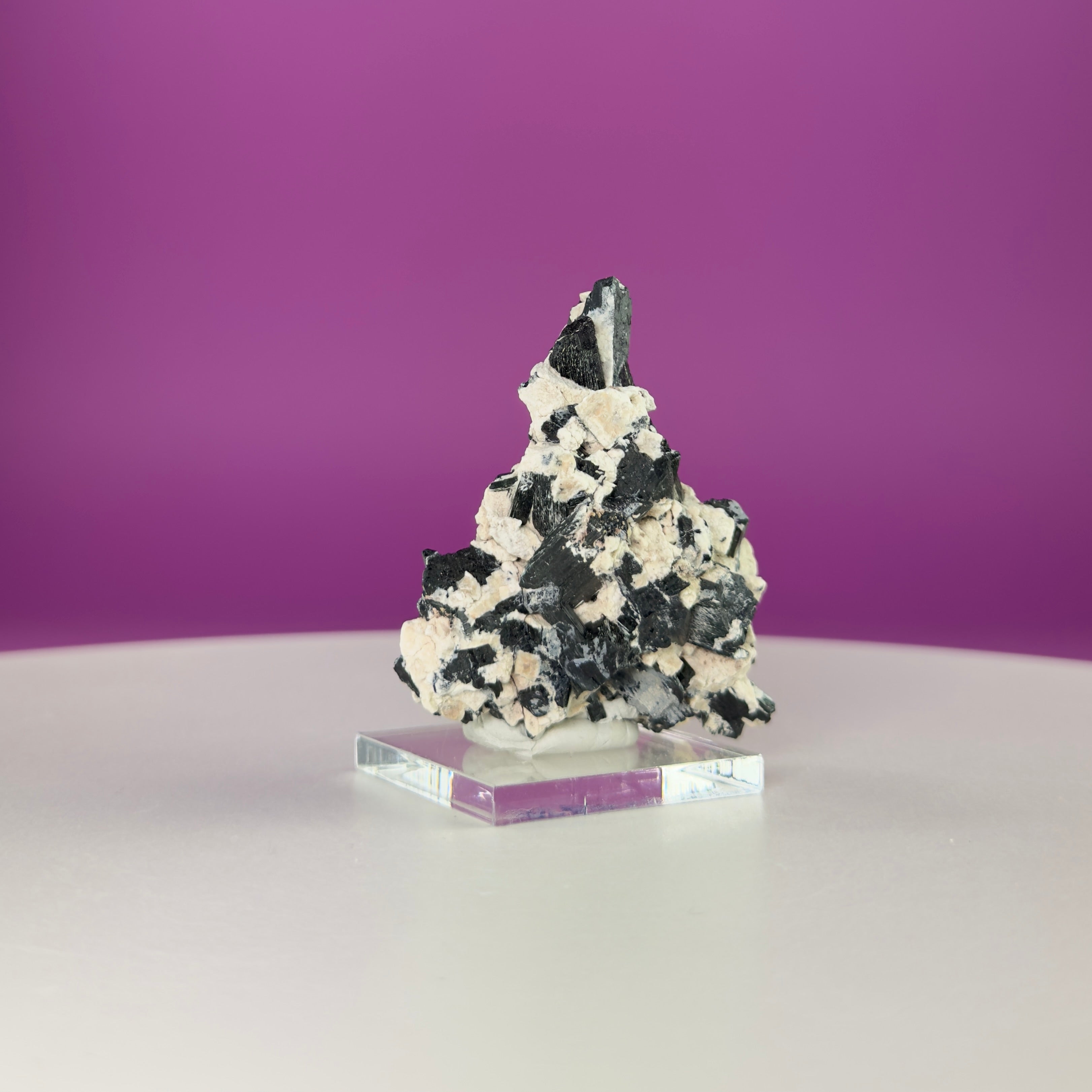 Dravite Tourmaline Crystal Specimen in Matrix – Collector Mineral Display