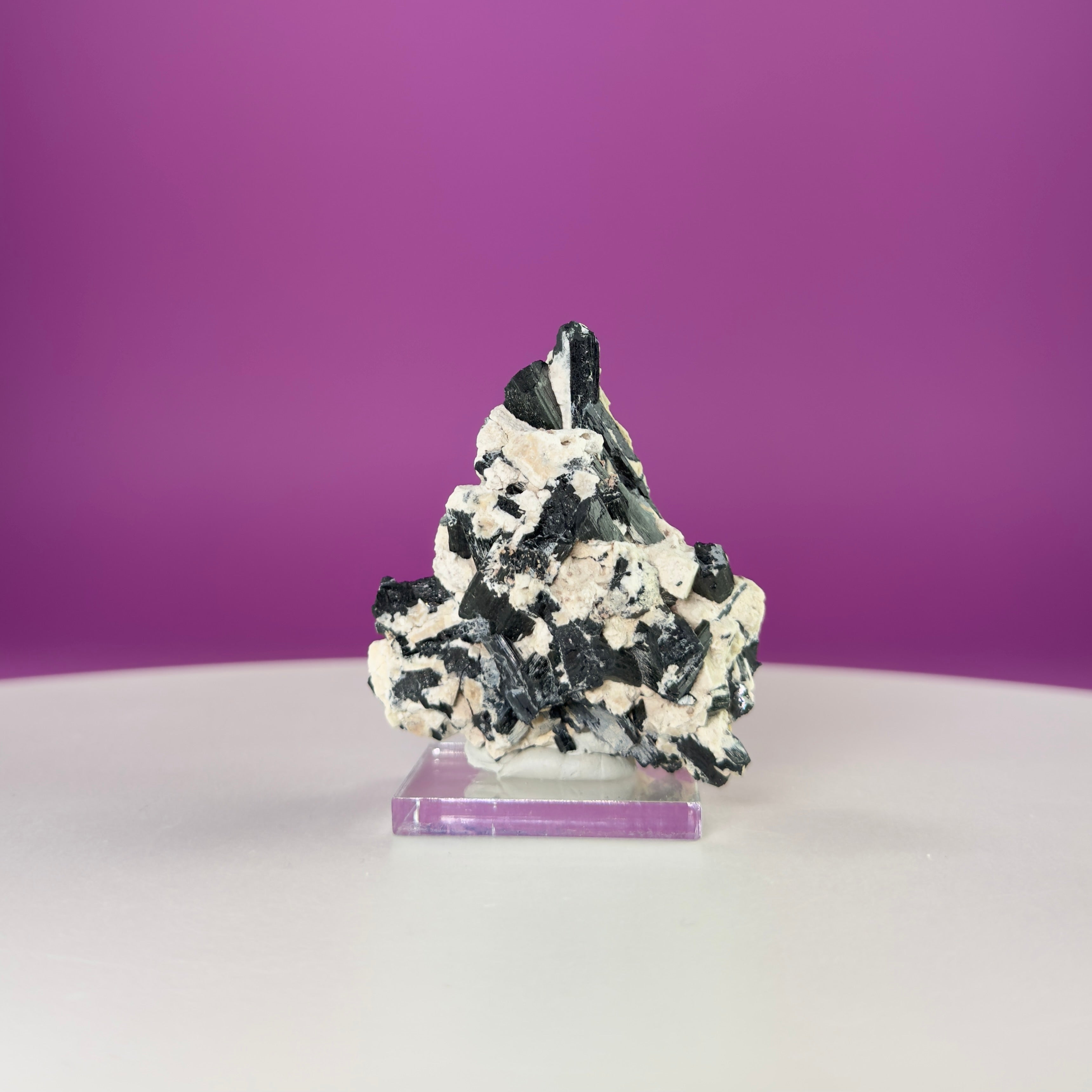 Dravite Tourmaline Crystal Specimen in Matrix – Collector Mineral Display