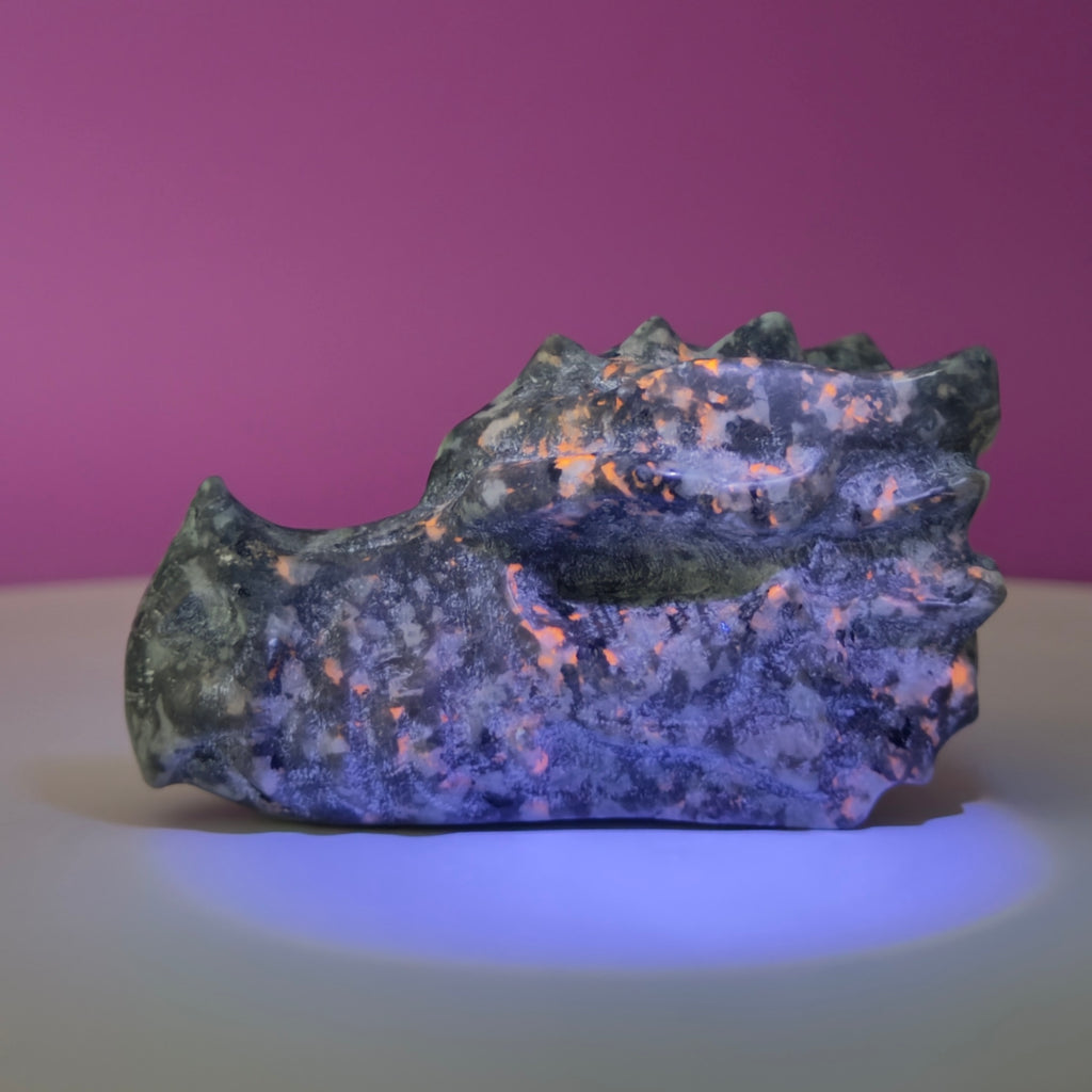 Yooperlite Dragon Skull Carving | UV Reactive Crystal | 138g