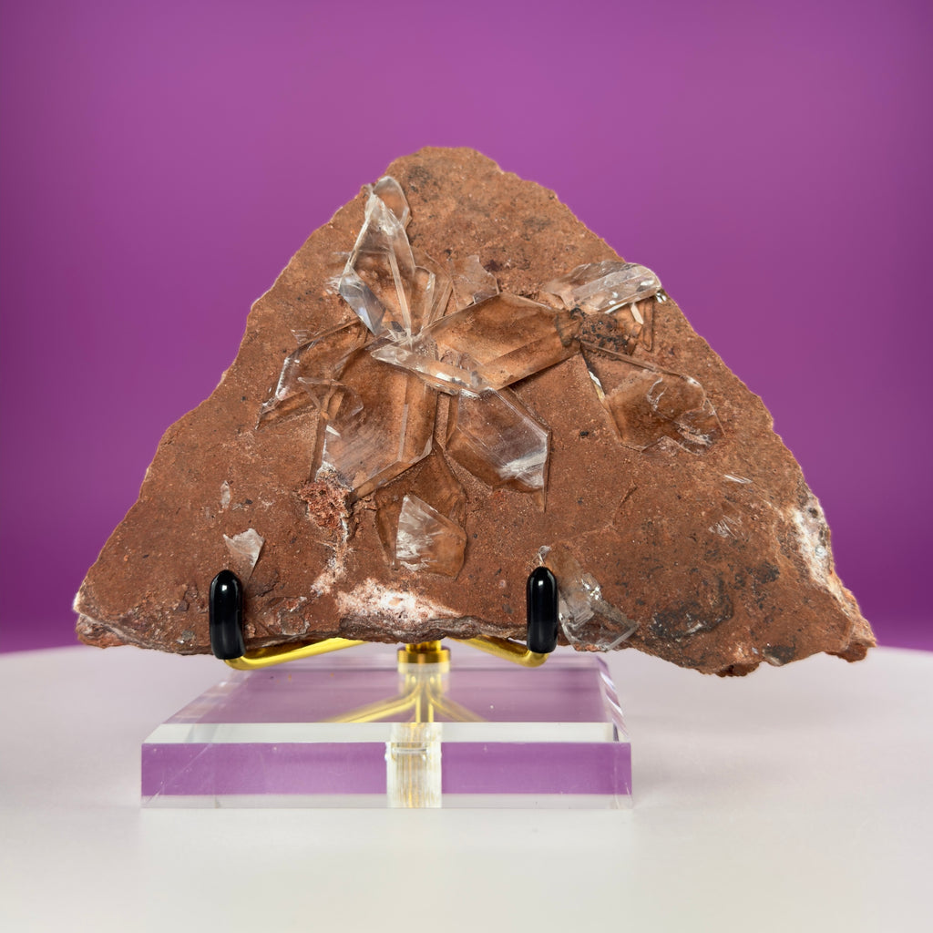 Rare Selenite on Matrix from Bermejillo, Mexico – 416g Collector Specimen with Stand