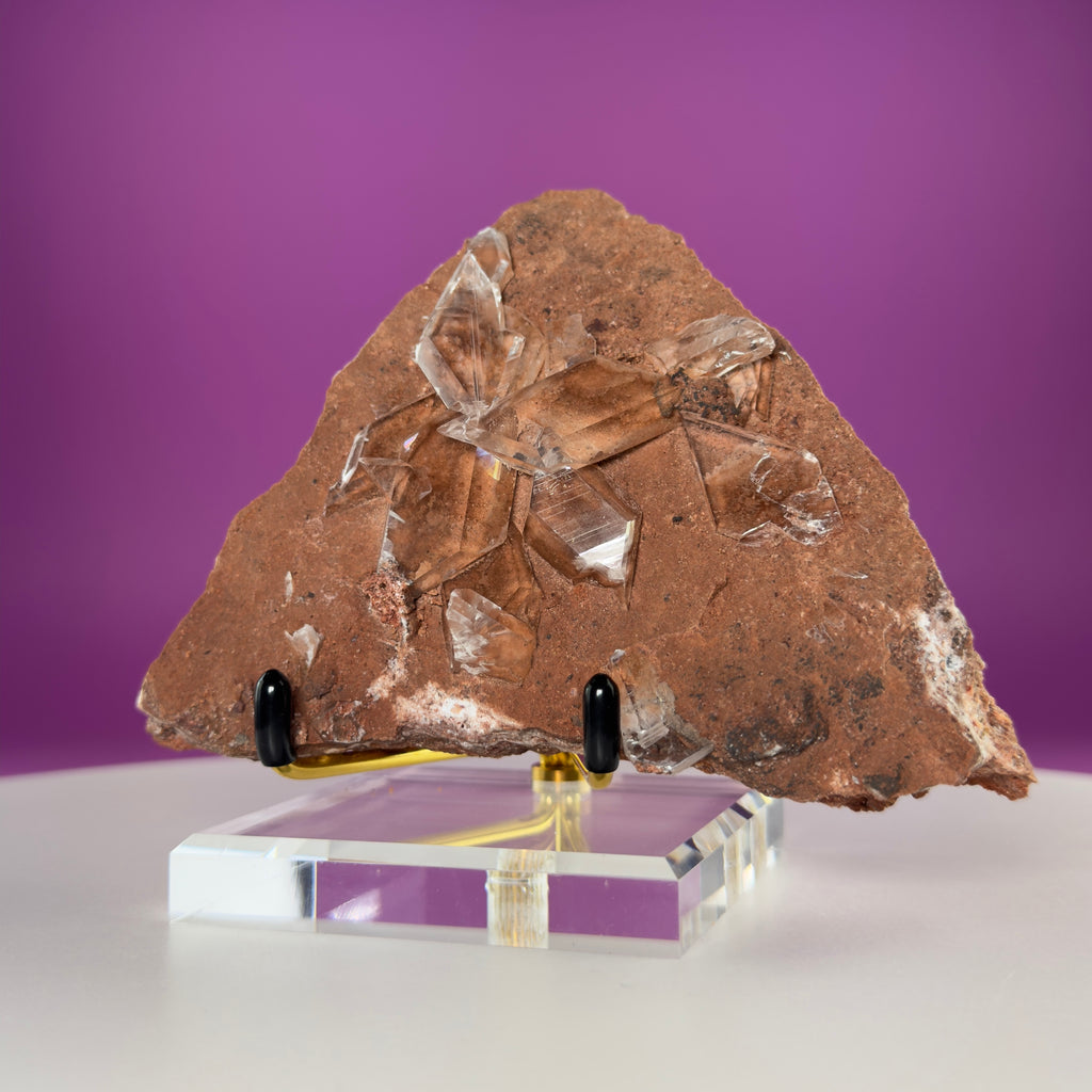 Rare Selenite on Matrix from Bermejillo, Mexico – 416g Collector Specimen with Stand