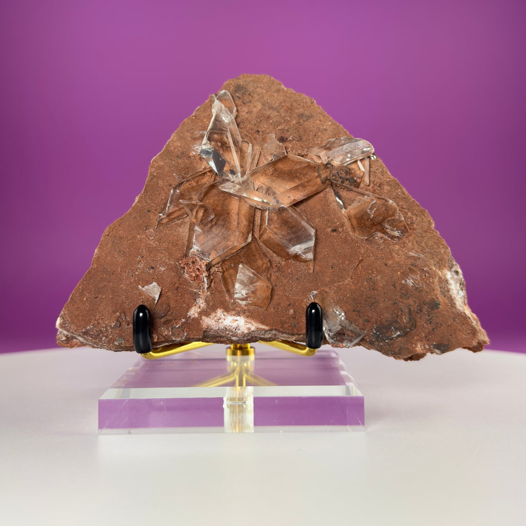 Rare Selenite on Matrix from Bermejillo, Mexico – 416g Collector Specimen with Stand