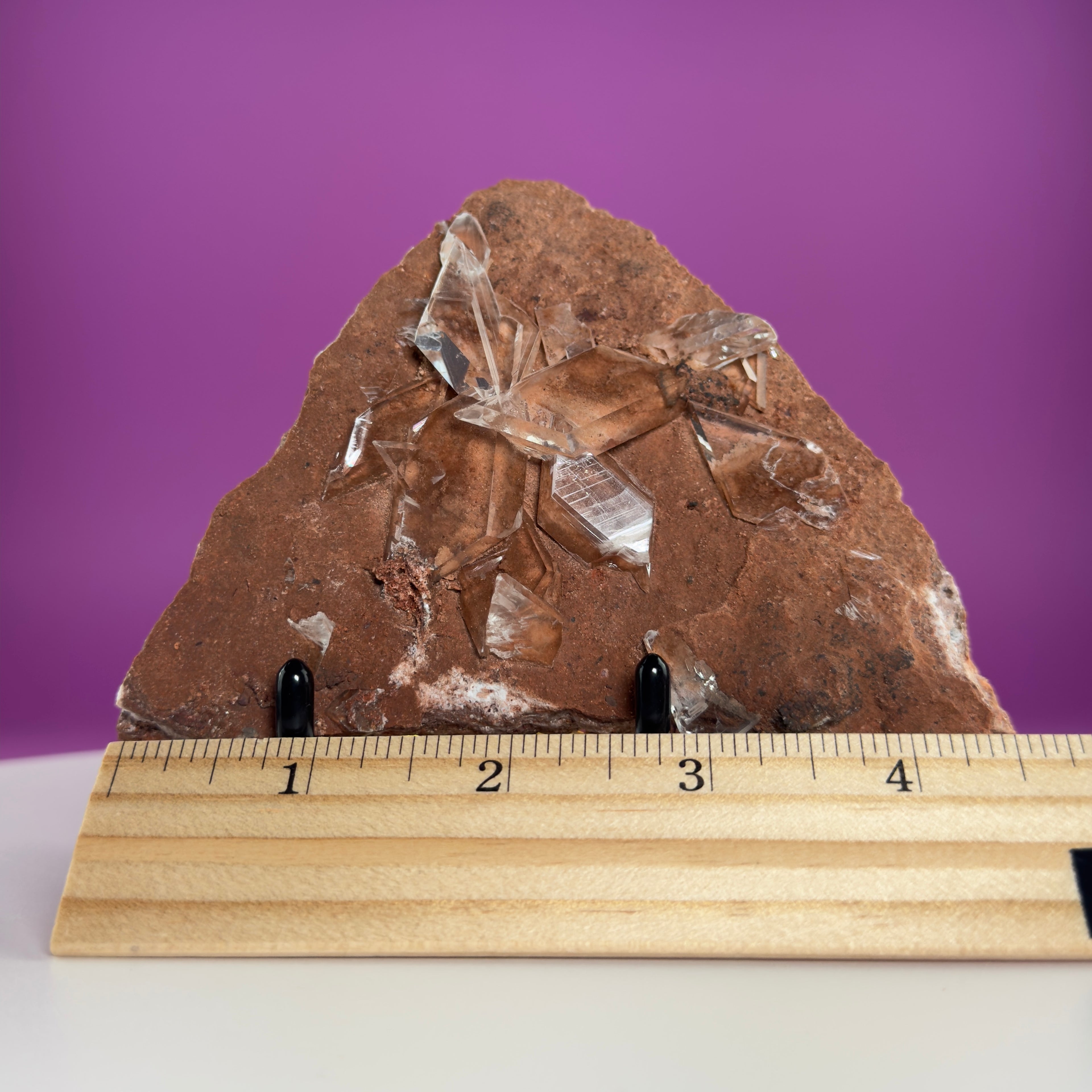Rare Selenite on Matrix from Bermejillo, Mexico – 416g Collector Specimen with Stand