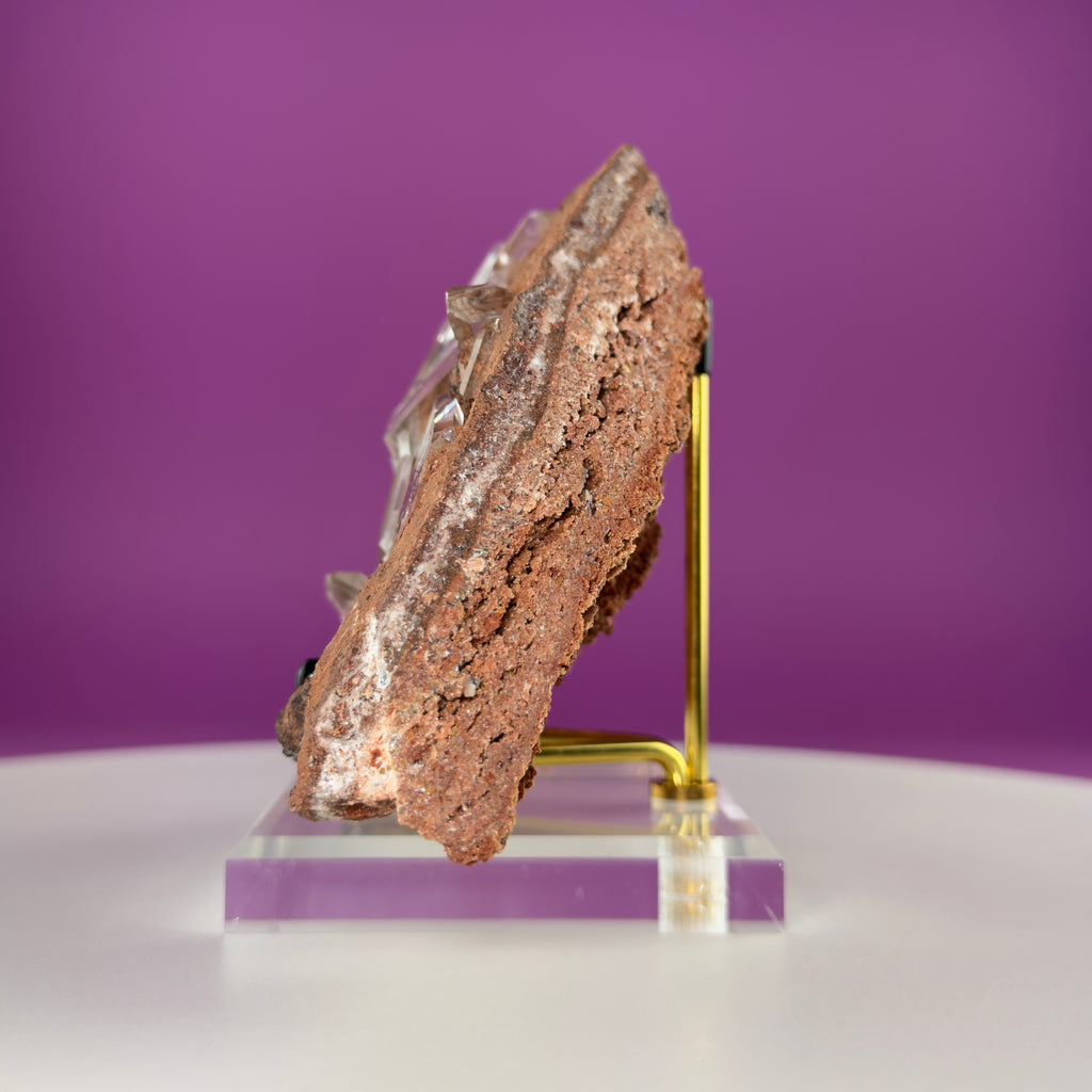 Rare Selenite on Matrix from Bermejillo, Mexico – 416g Collector Specimen with Stand