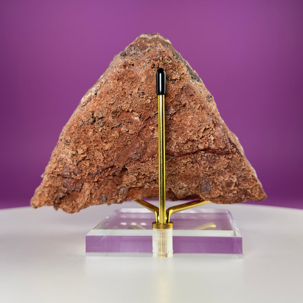 Rare Selenite on Matrix from Bermejillo, Mexico – 416g Collector Specimen with Stand