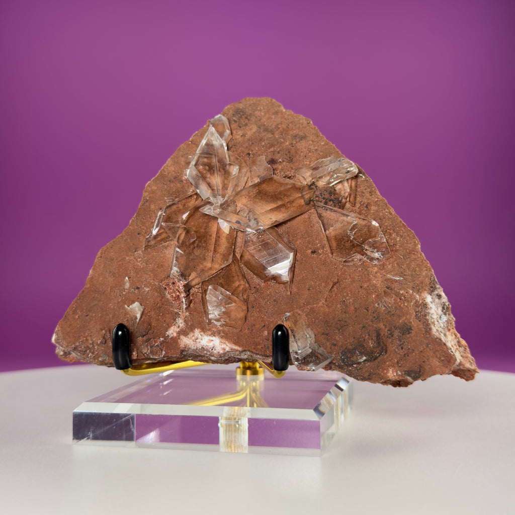 Rare Selenite on Matrix from Bermejillo, Mexico – 416g Collector Specimen with Stand