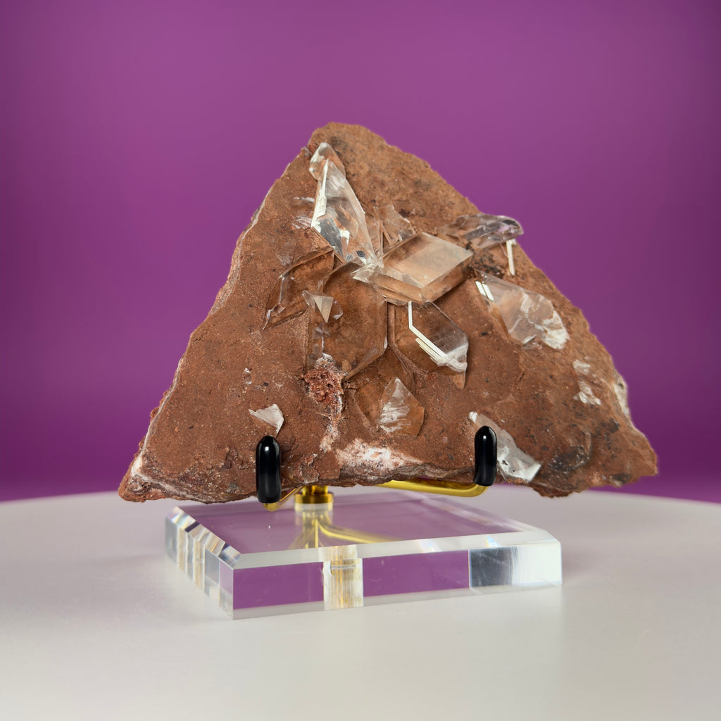 Rare Selenite on Matrix from Bermejillo, Mexico – 416g Collector Specimen with Stand