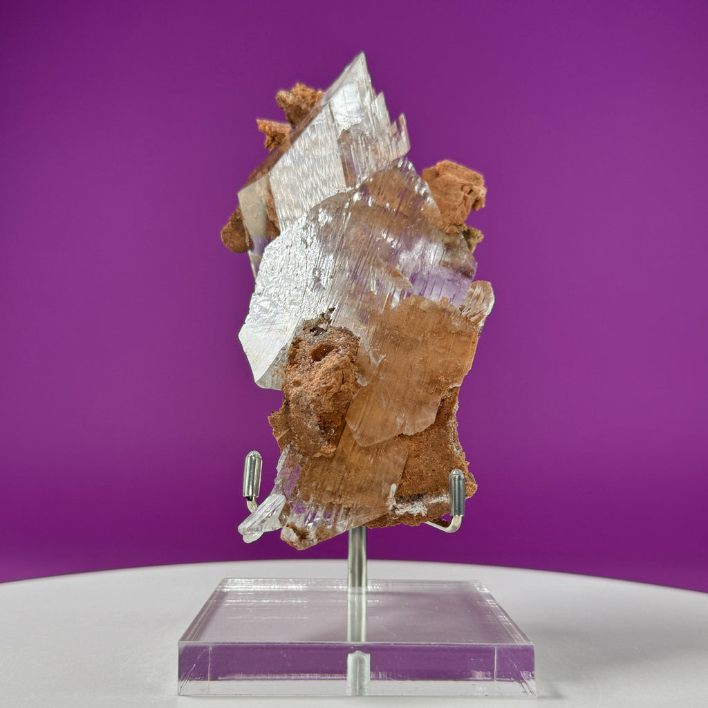 Selenite on Matrix (Bermejillo, Durango, Mexico) | Collector Specimen with Stand