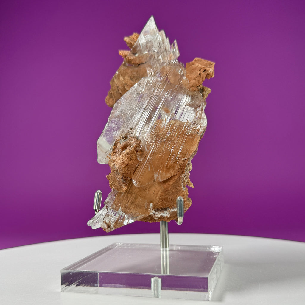 Selenite on Matrix (Bermejillo, Durango, Mexico) | Collector Specimen with Stand