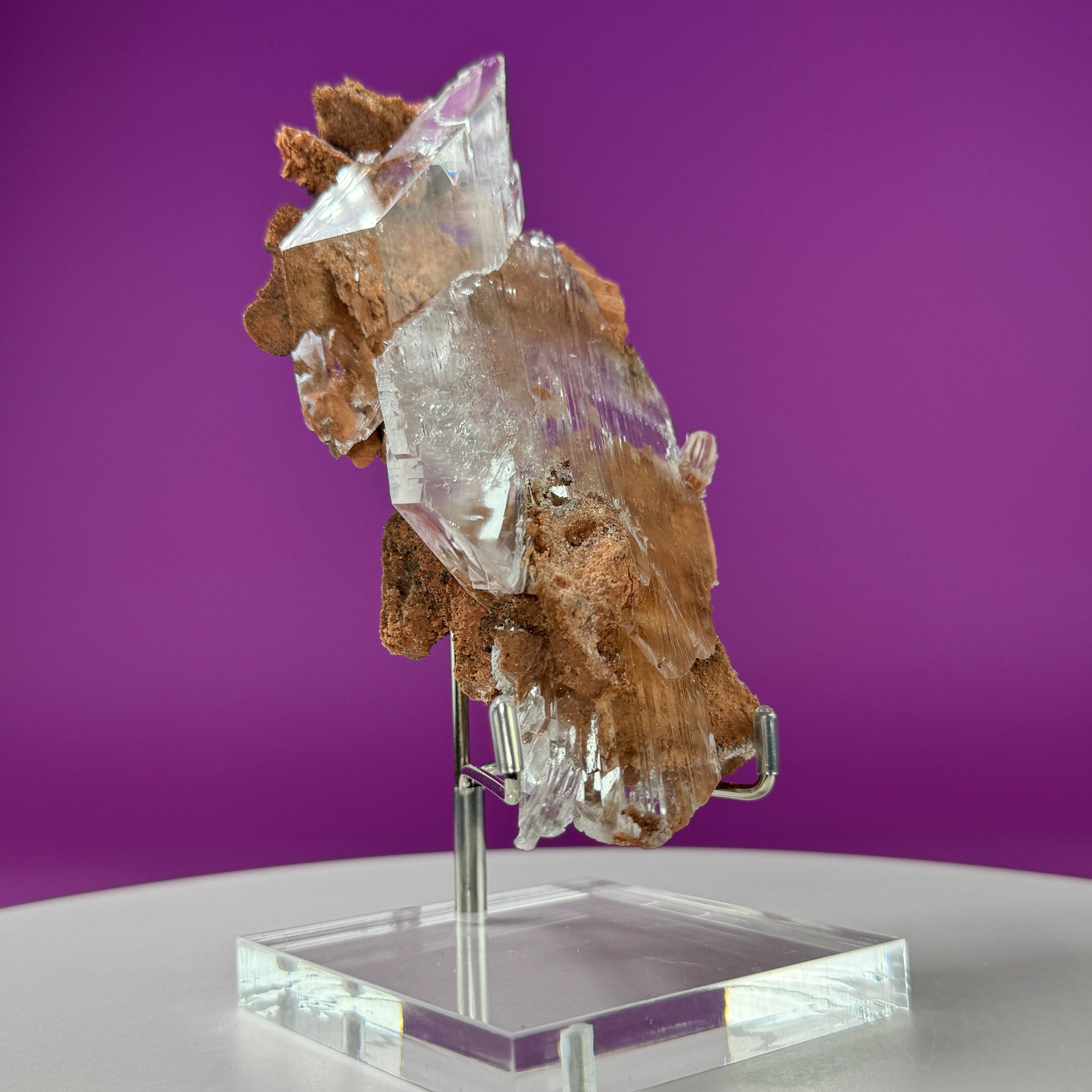 Selenite on Matrix (Bermejillo, Durango, Mexico) | Collector Specimen with Stand