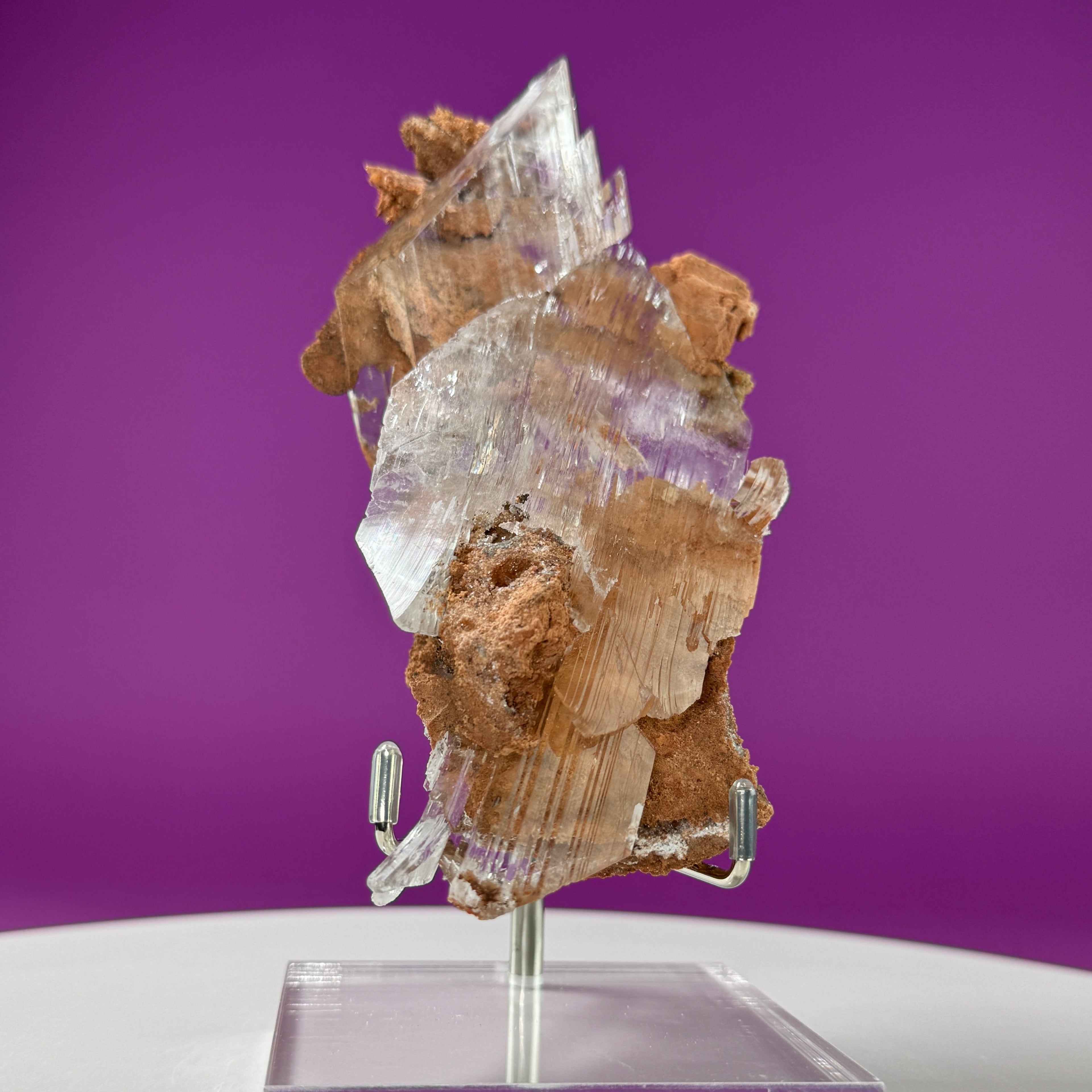 Selenite on Matrix (Bermejillo, Durango, Mexico) | Collector Specimen with Stand