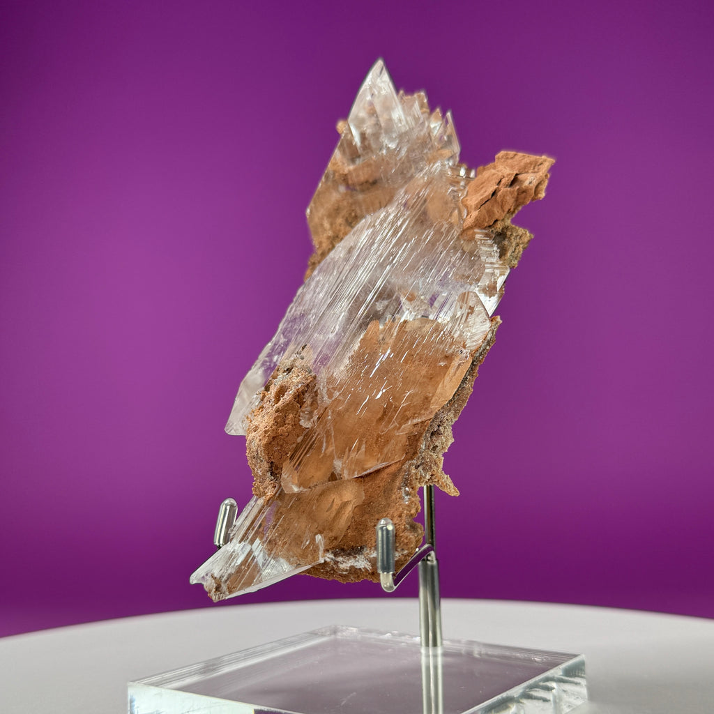 Selenite on Matrix (Bermejillo, Durango, Mexico) | Collector Specimen with Stand
