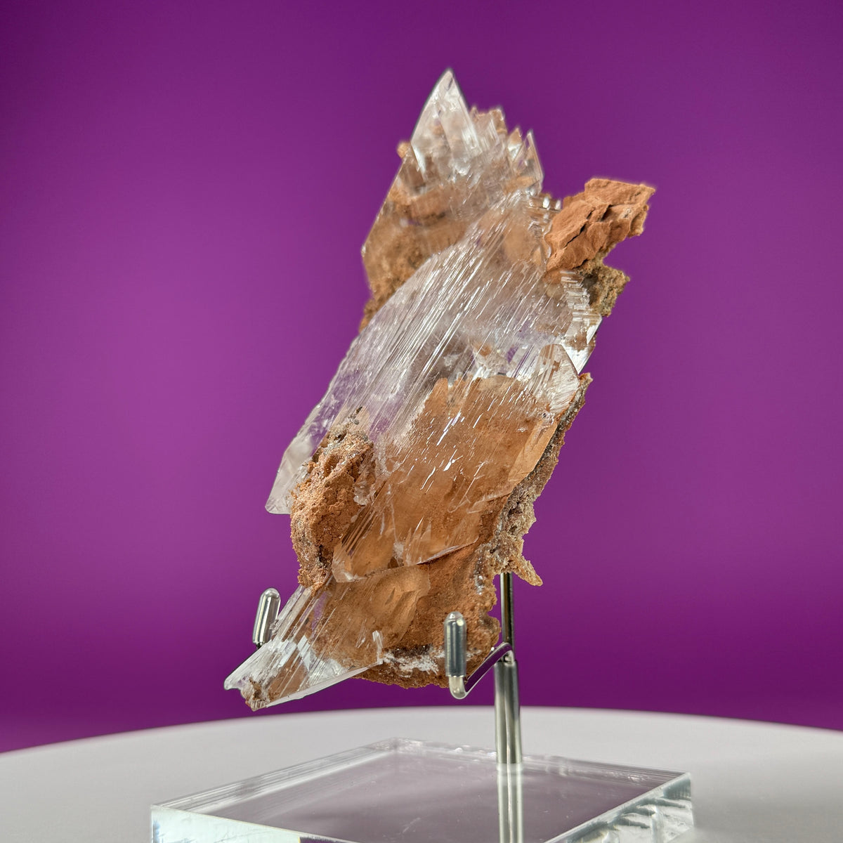 Selenite on Matrix (Bermejillo, Durango, Mexico) | Collector Specimen with Stand