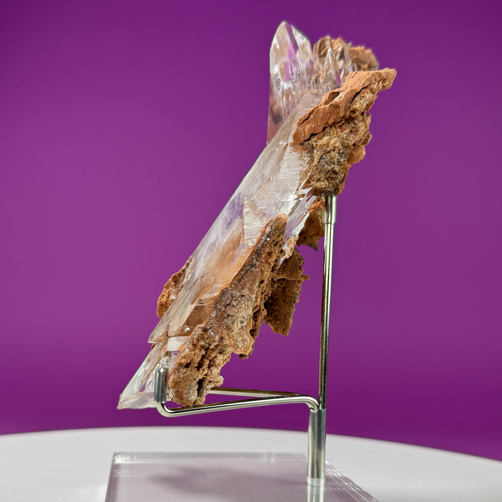 Selenite on Matrix (Bermejillo, Durango, Mexico) | Collector Specimen with Stand