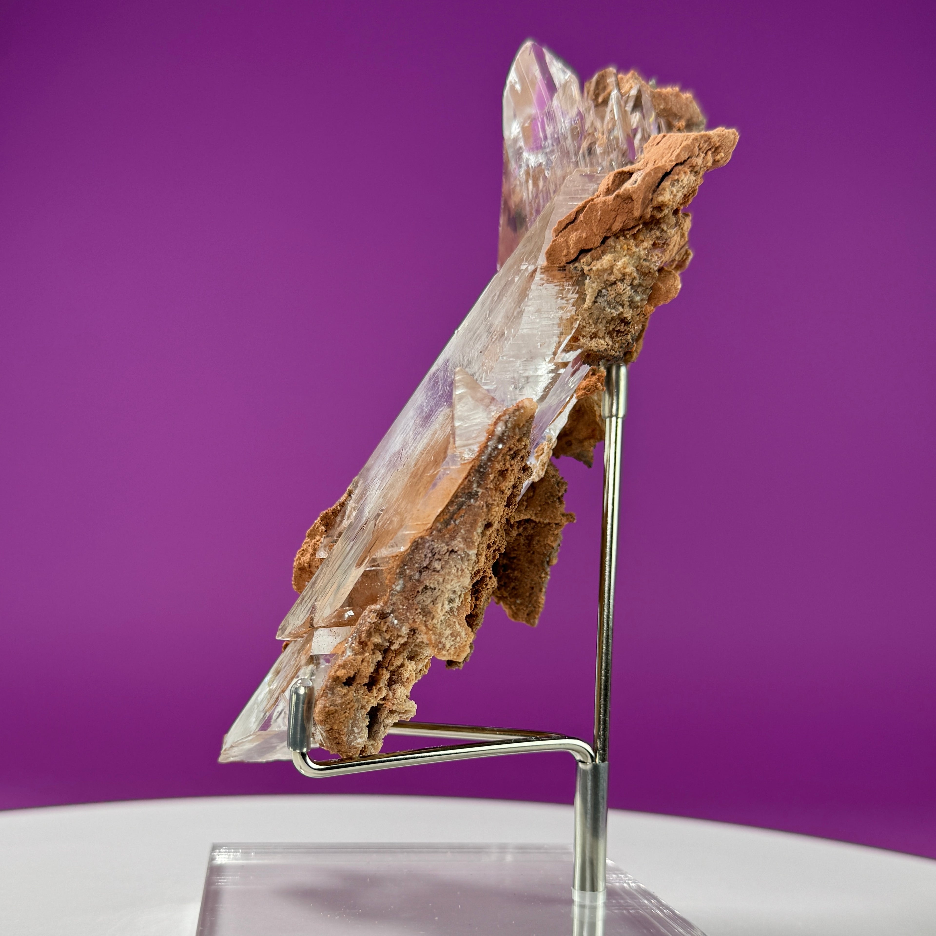 Selenite on Matrix (Bermejillo, Durango, Mexico) | Collector Specimen with Stand