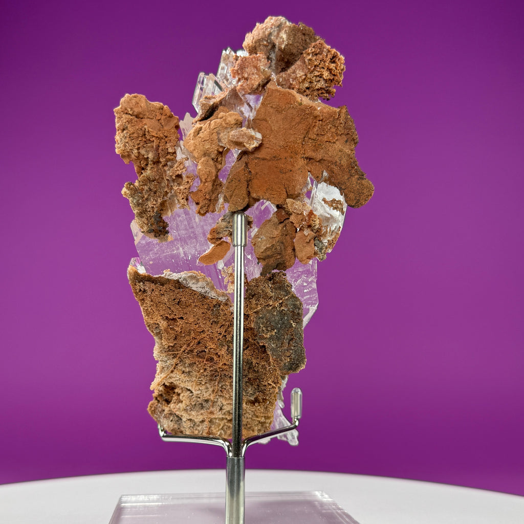 Selenite on Matrix (Bermejillo, Durango, Mexico) | Collector Specimen with Stand