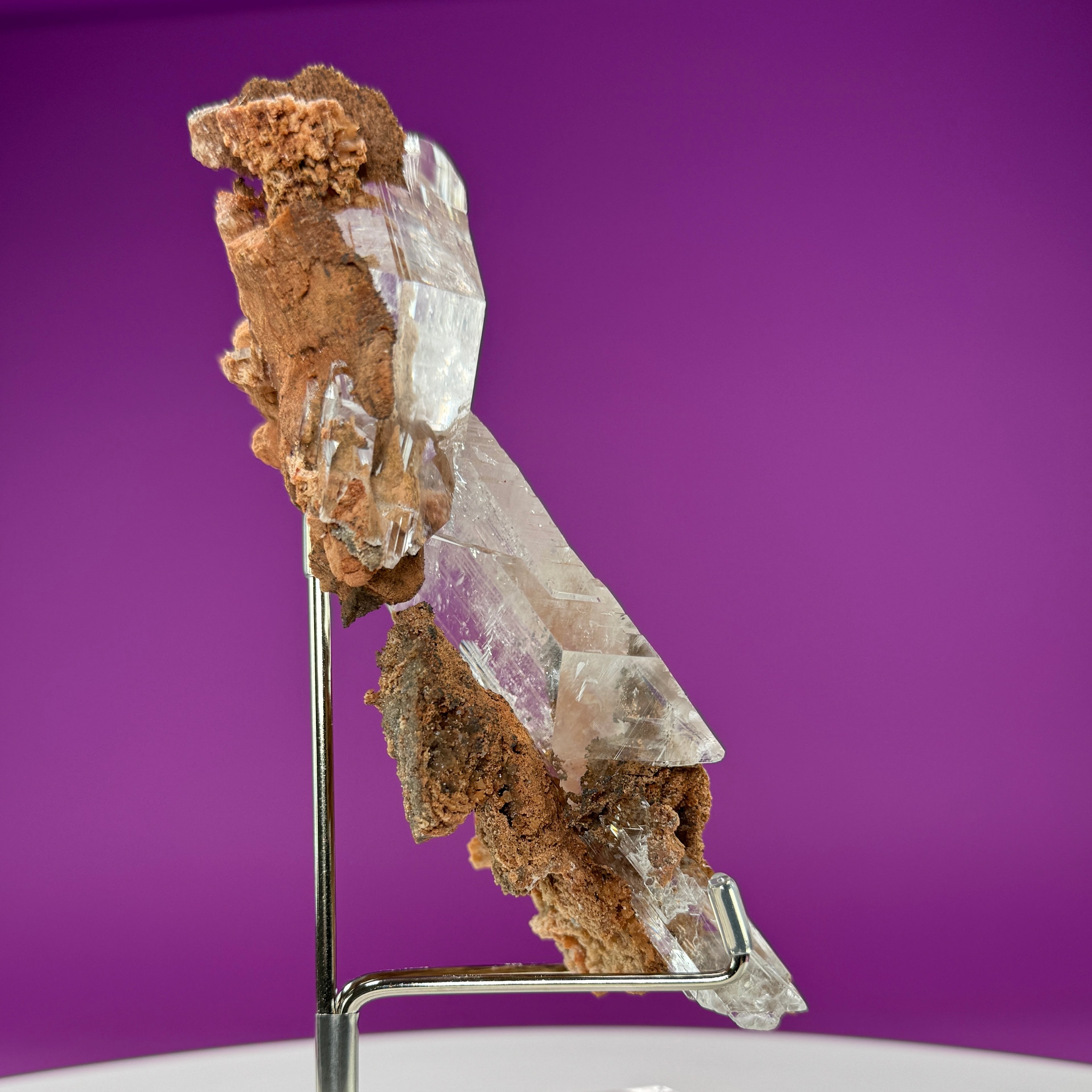 Selenite on Matrix (Bermejillo, Durango, Mexico) | Collector Specimen with Stand