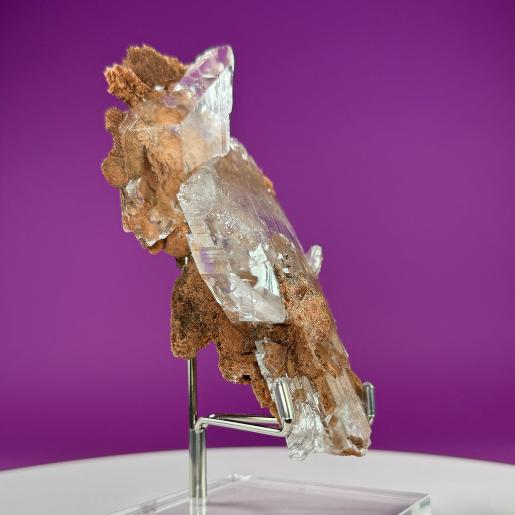 Selenite on Matrix (Bermejillo, Durango, Mexico) | Collector Specimen with Stand