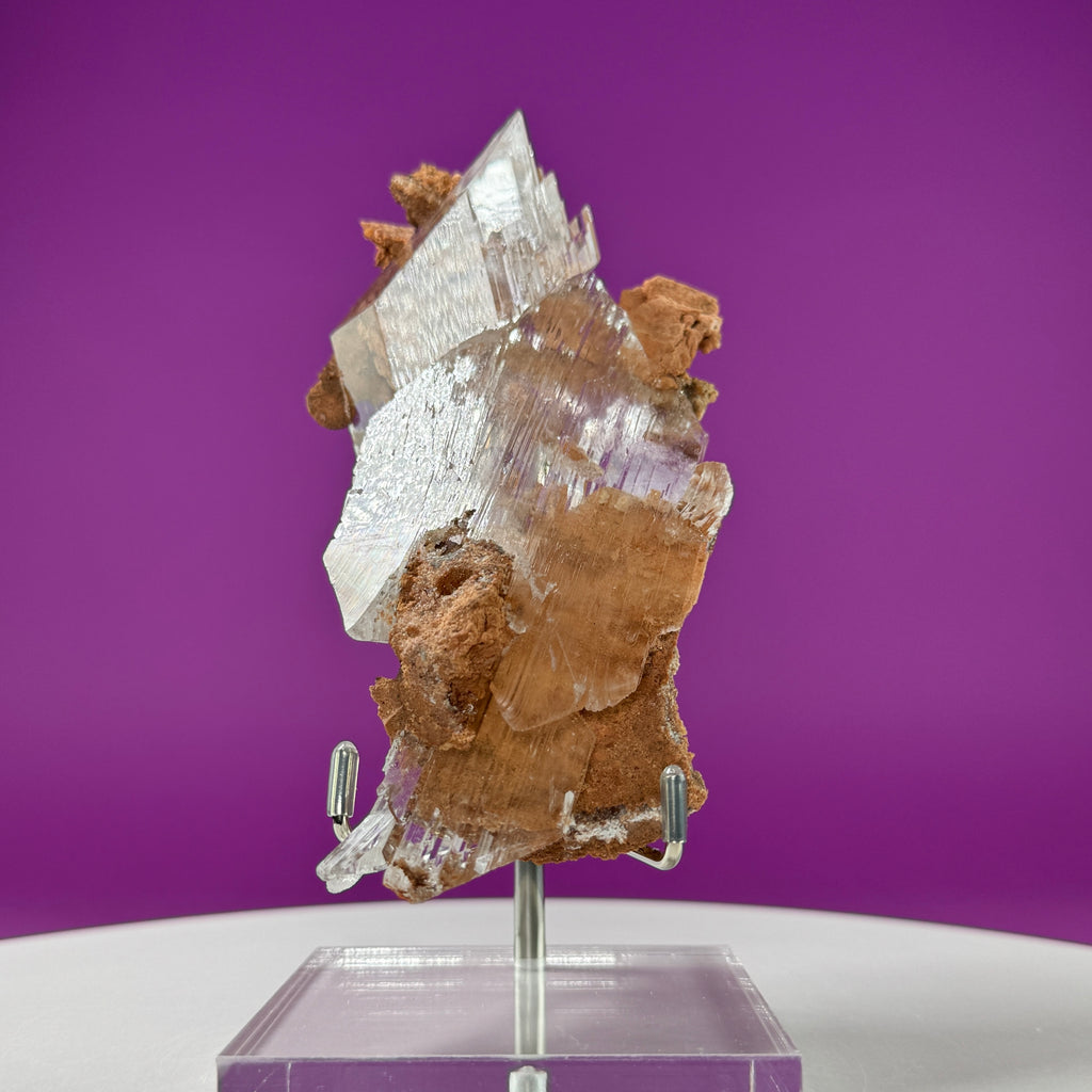 Selenite on Matrix (Bermejillo, Durango, Mexico) | Collector Specimen with Stand