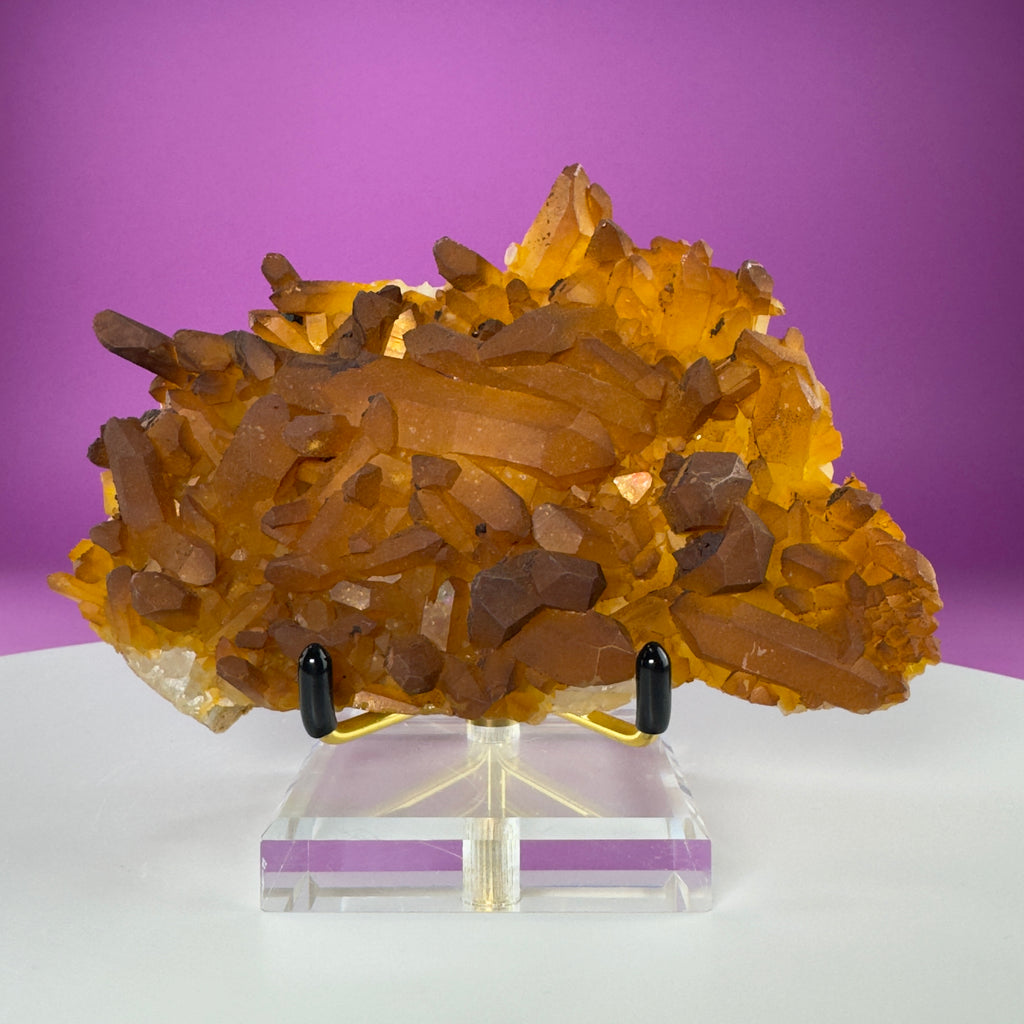 Golden Healer Quartz Cluster from Collier Creek Arkansas with Gold Display Stand