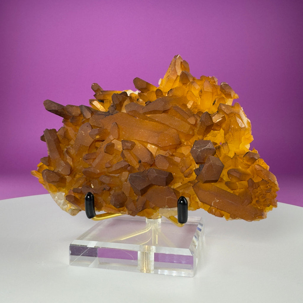 Golden Healer Quartz Cluster from Collier Creek Arkansas with Gold Display Stand