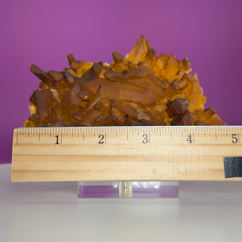 Golden Healer Quartz Cluster from Collier Creek Arkansas with Gold Display Stand