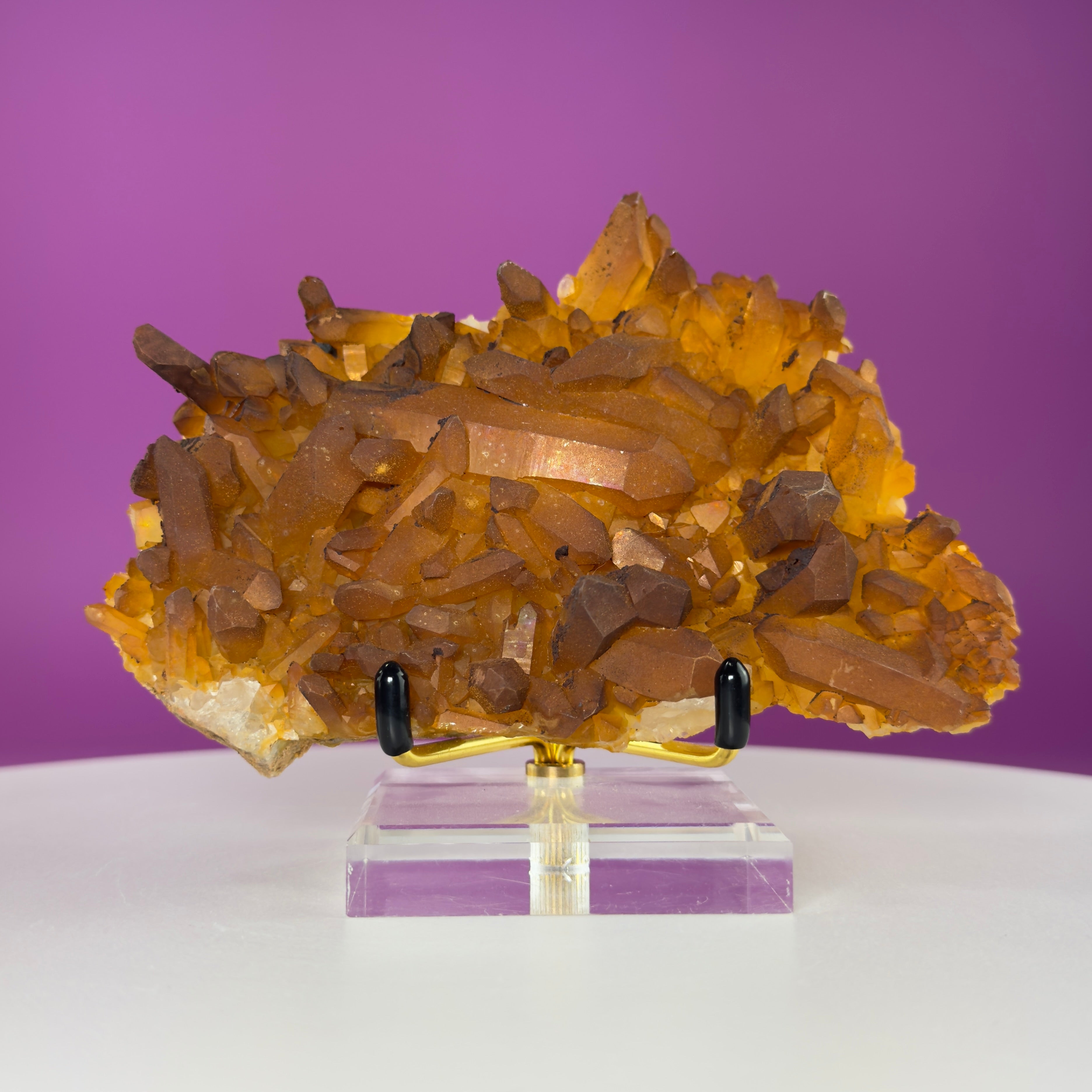 Golden Healer Quartz Cluster from Collier Creek Arkansas with Gold Display Stand