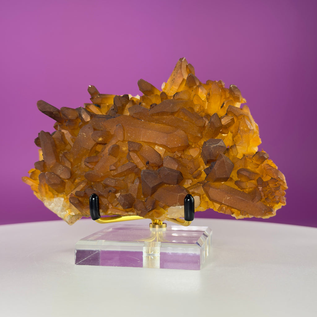 Golden Healer Quartz Cluster from Collier Creek Arkansas with Gold Display Stand