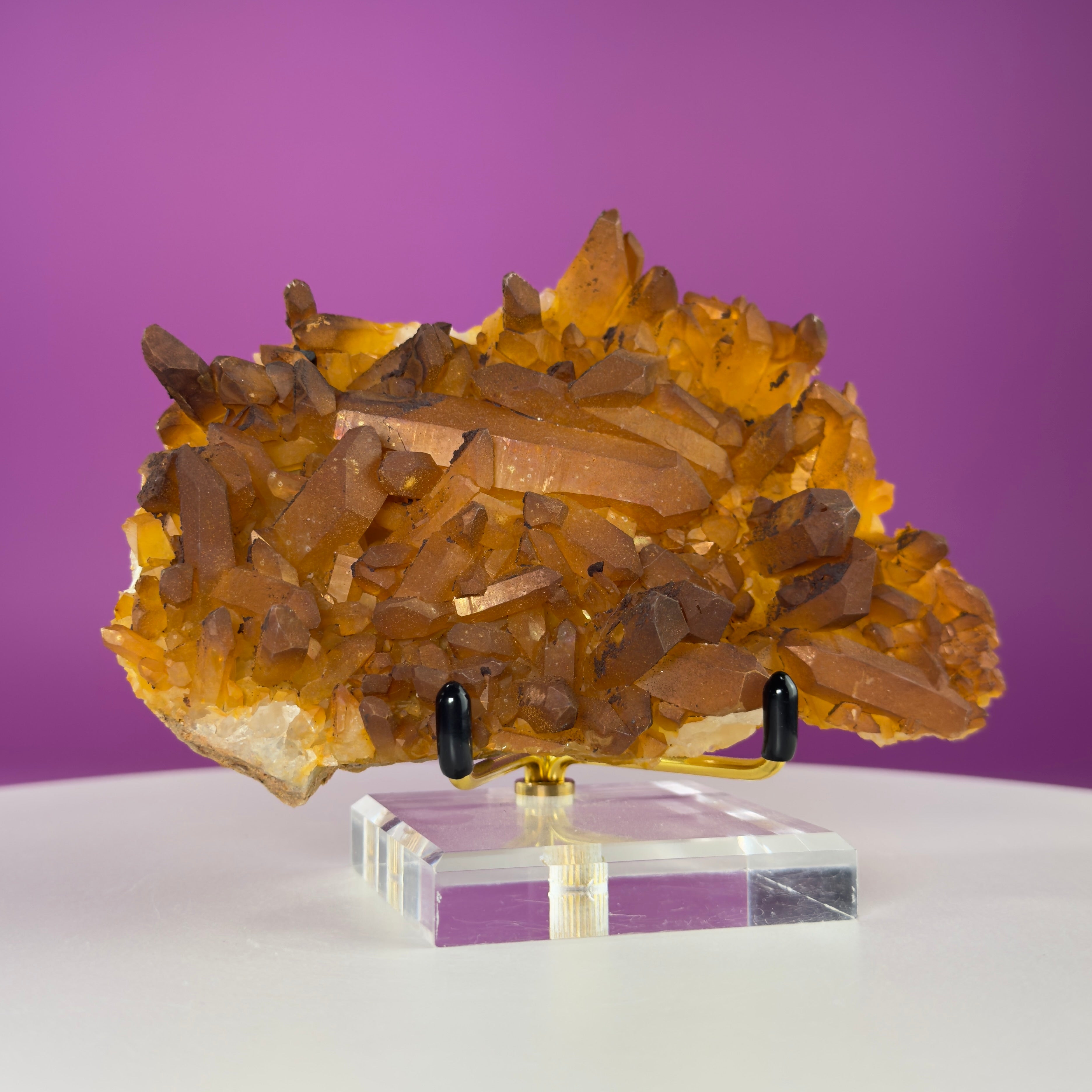 Golden Healer Quartz Cluster from Collier Creek Arkansas with Gold Display Stand