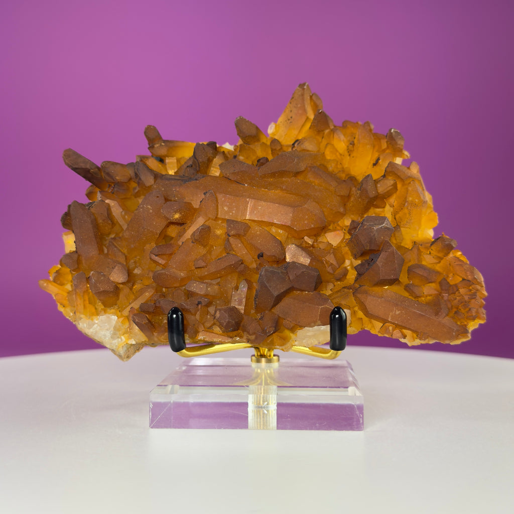 Golden Healer Quartz Cluster from Collier Creek Arkansas with Gold Display Stand